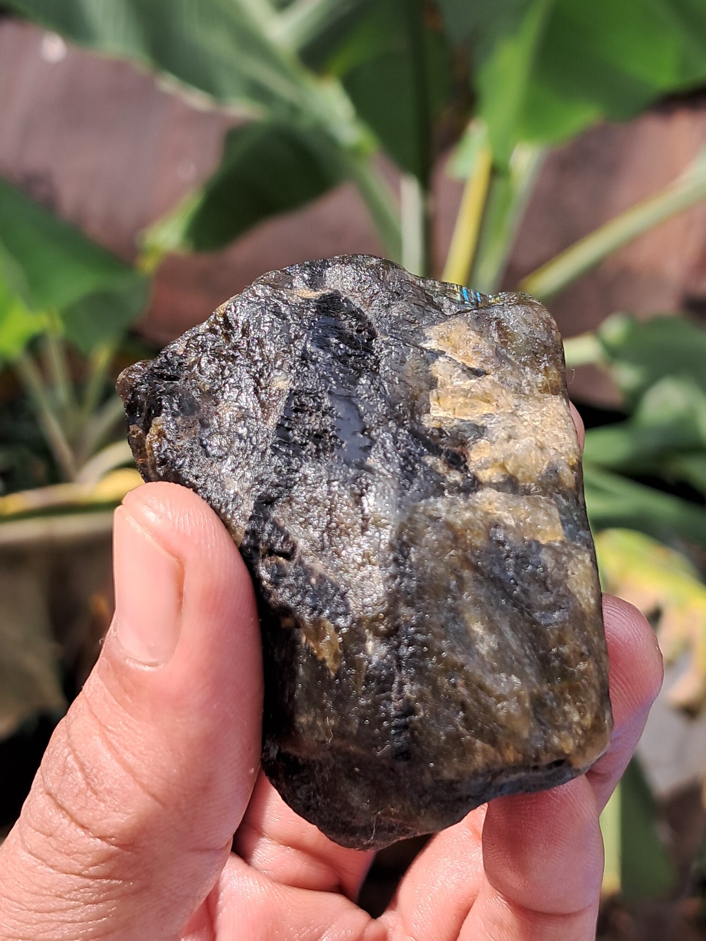 Labradorite Raw (Madagascar) | Strong Flash #LB7