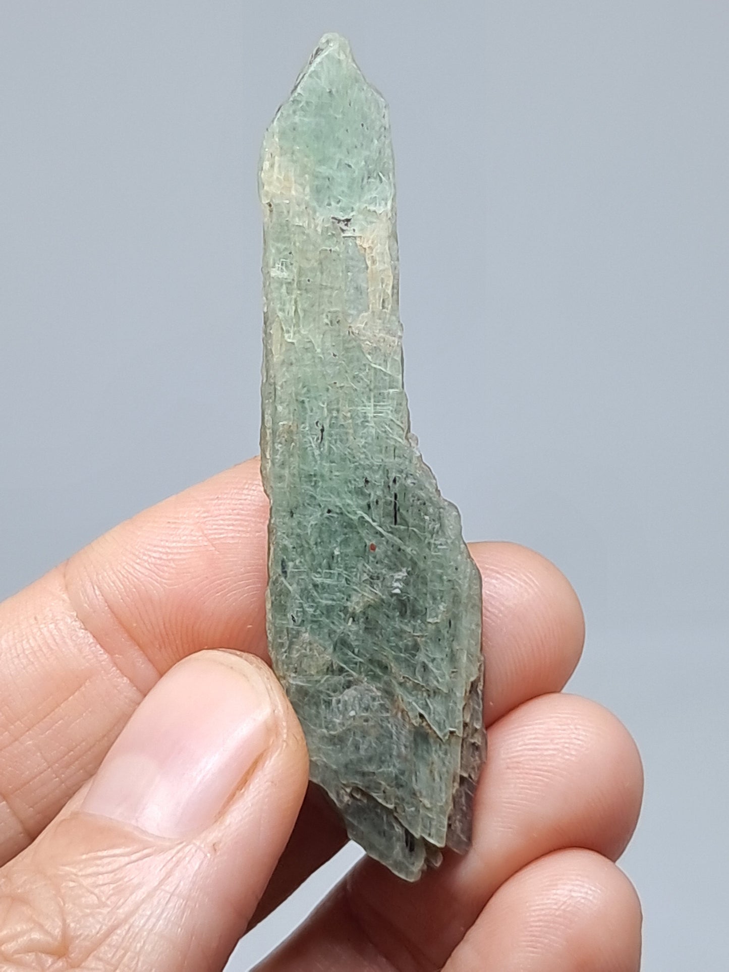 Green Kyanite (Tamil Nadu) Natural Crystal #KY9