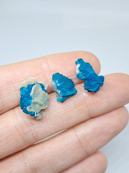 Set of 3 Cavansites (Wagholi) Rough Stone | Natural Crystal | Rare Mineral Specimen #CV39