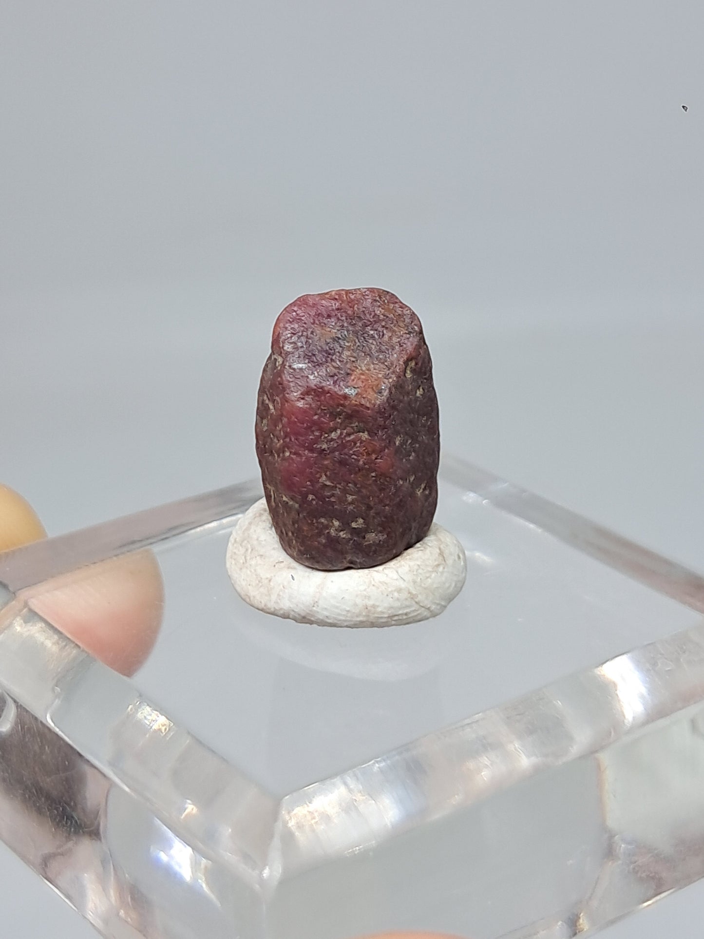Rough Ruby Crystal (Tamil Nadu) Natural Stone | Mineral Specimen #RB19
