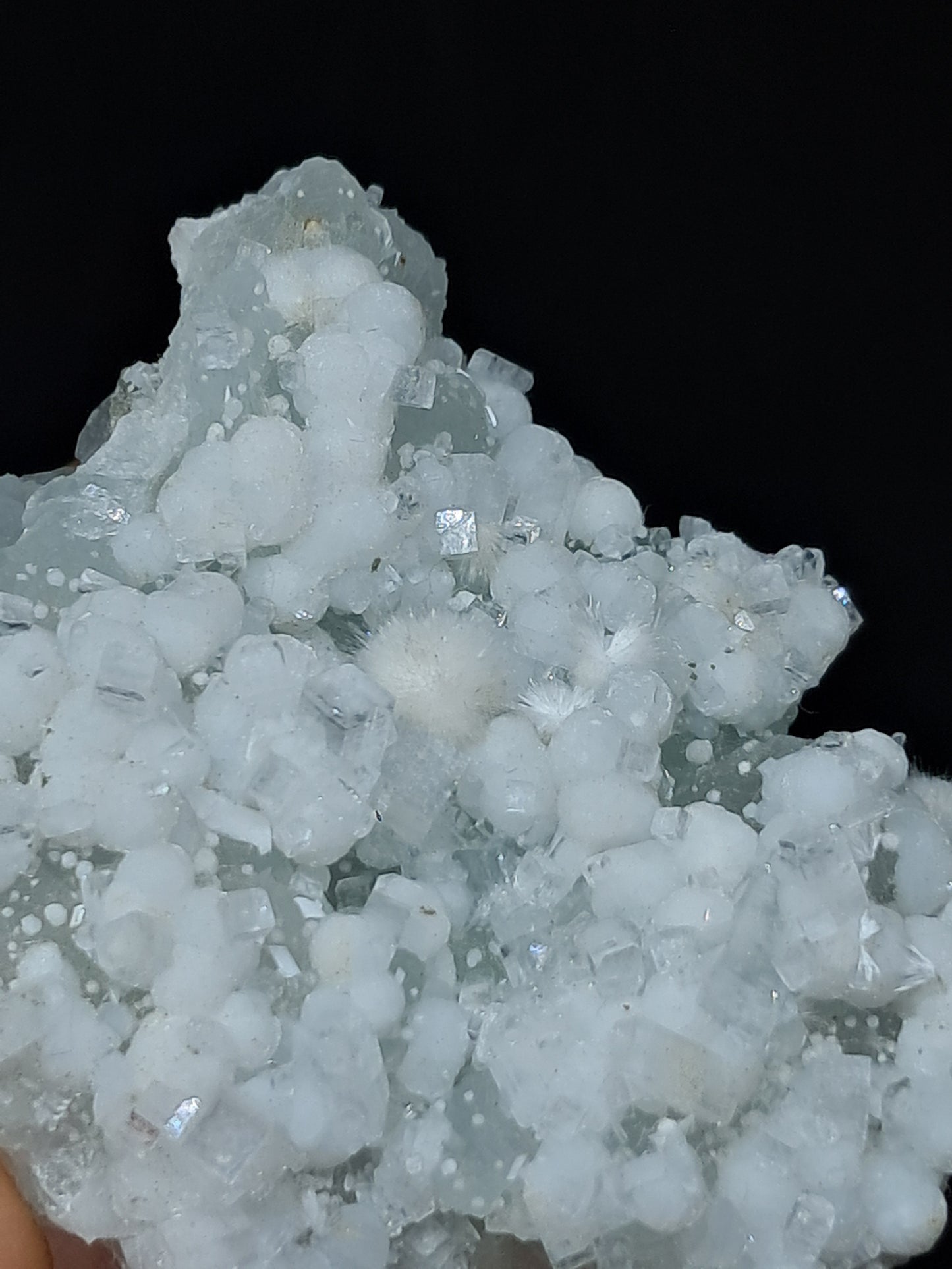 Okenite w/ Gyrolite and Apophyllite on Prehenite Matrix (Mumbai) Mineral Specimen | Collector Grade | Natural Crystal #OK23