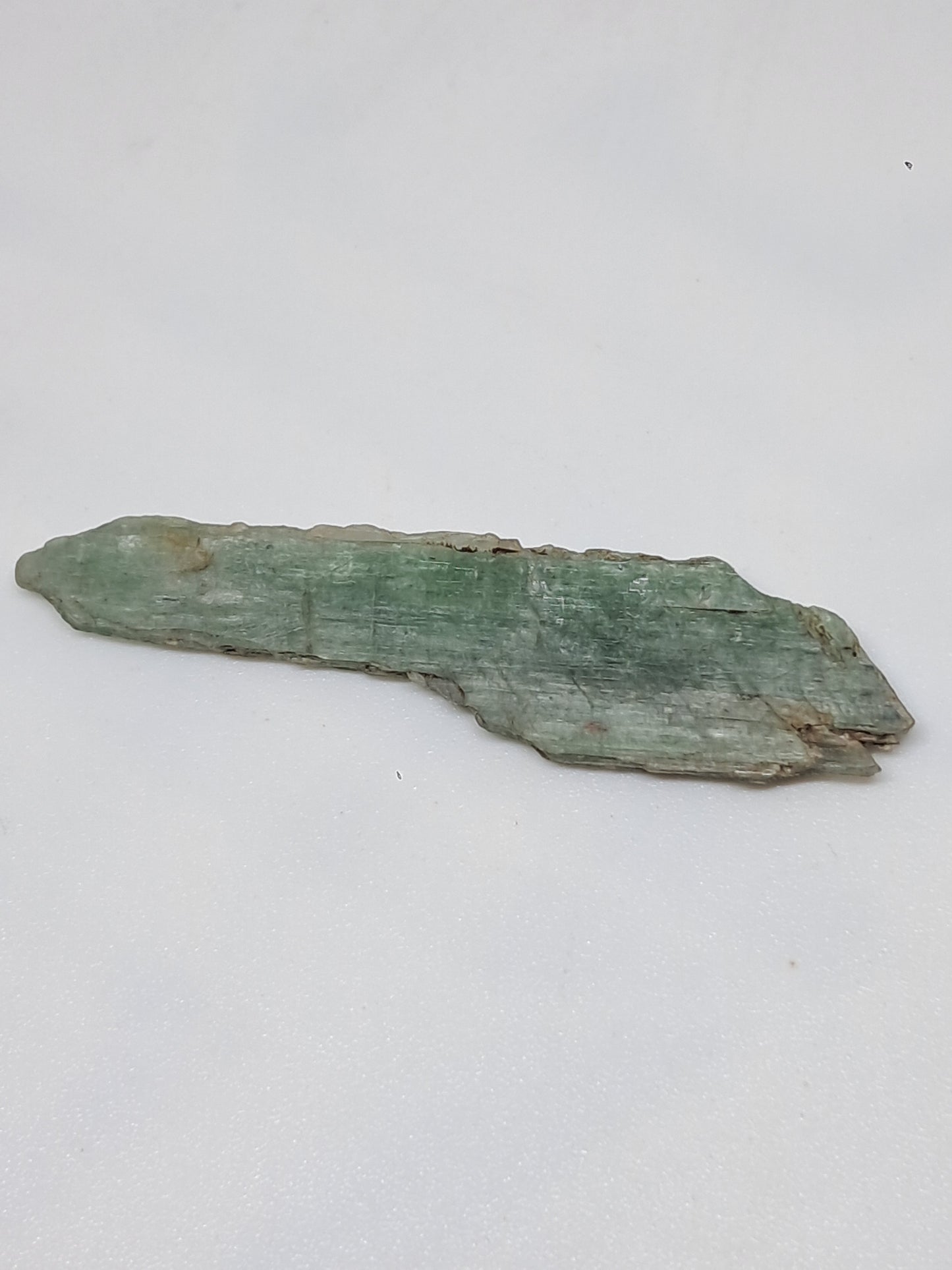 Green Kyanite (Tamil Nadu) Natural Crystal #KY9