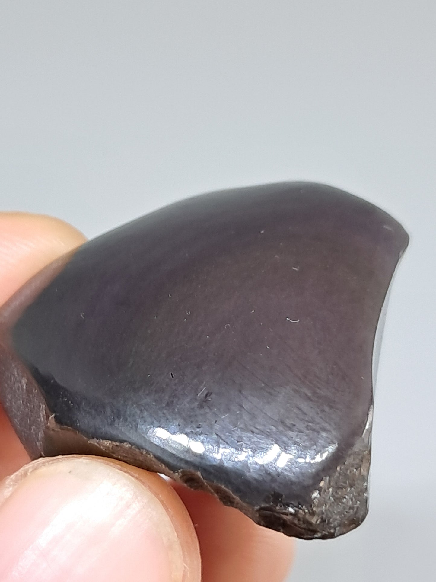 Rainbow Obsidian (Mexico) Natural Stone | Half Polished Half Rough #RO13