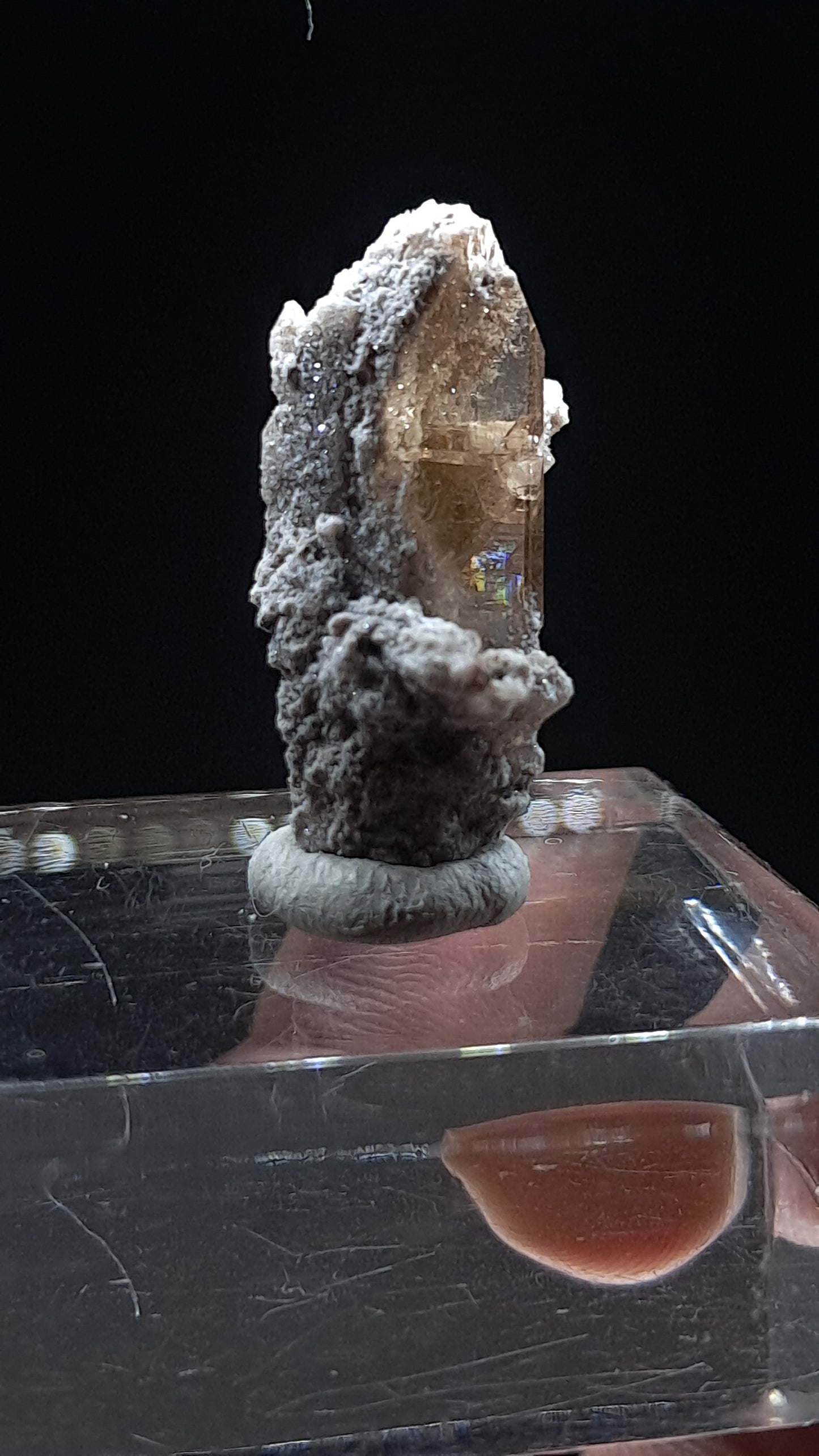 Natural Topaz Crystal (Mexico) Champagne Colour | Rare Gemstone | Mineral Specimen #TPZ40