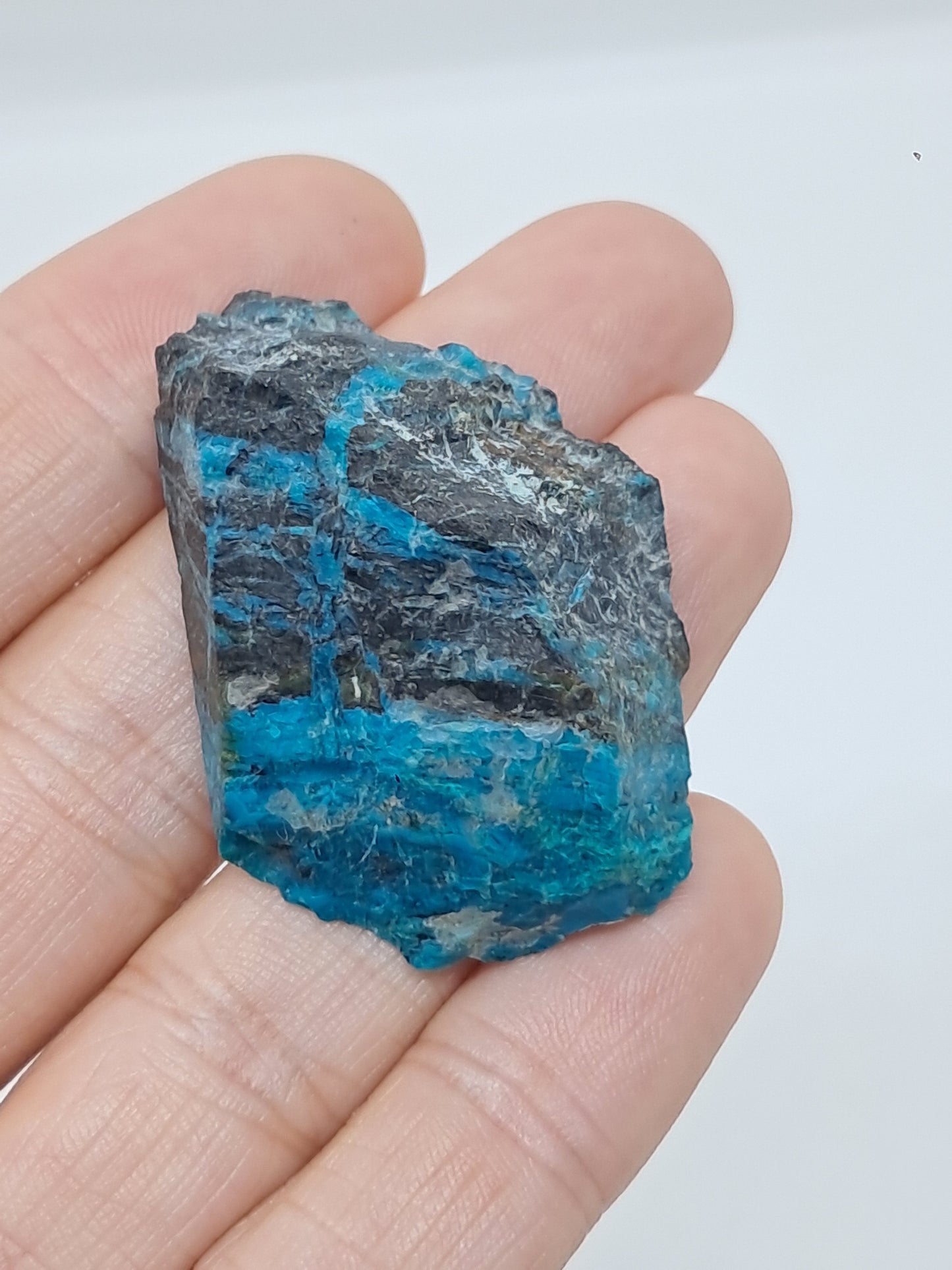 Blue Opal from Chile (Atacama) *New Find*| Rough Natural Stone | Rare Mineral Specimen #CBO3