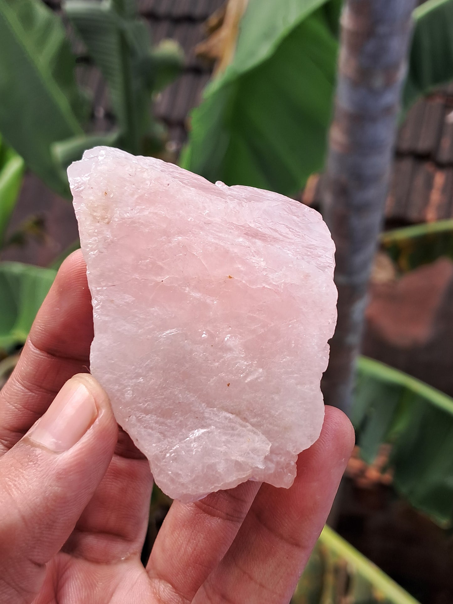 Rose Quartz (Rajasthan) Rough Stone | Natural Gemstone #RQ8