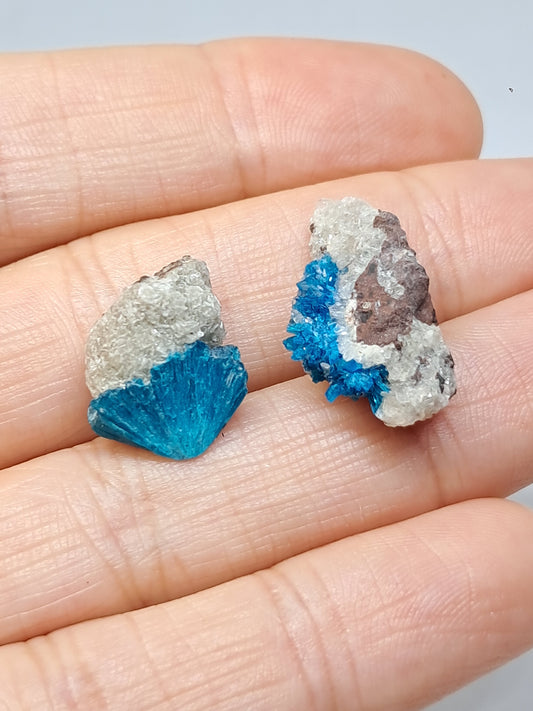 Set of Cavansite & Pentagonite on Matrix (Wagholi) Rough Stone | Natural Crystal | Rare Mineral Specimen #CV40