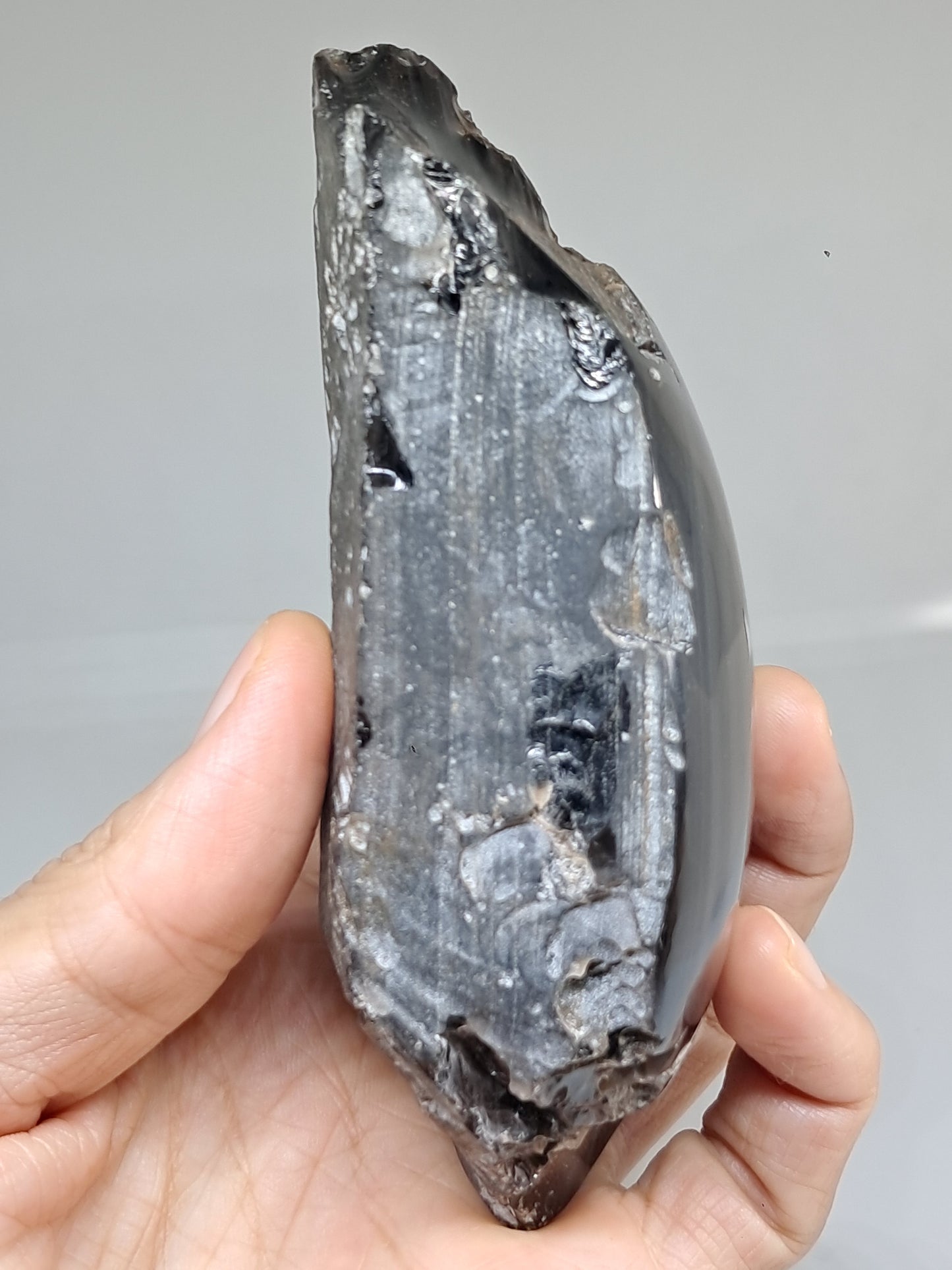 Rainbow Obsidian (Mexico) Natural Stone | Half Polished Half Rough #RO7
