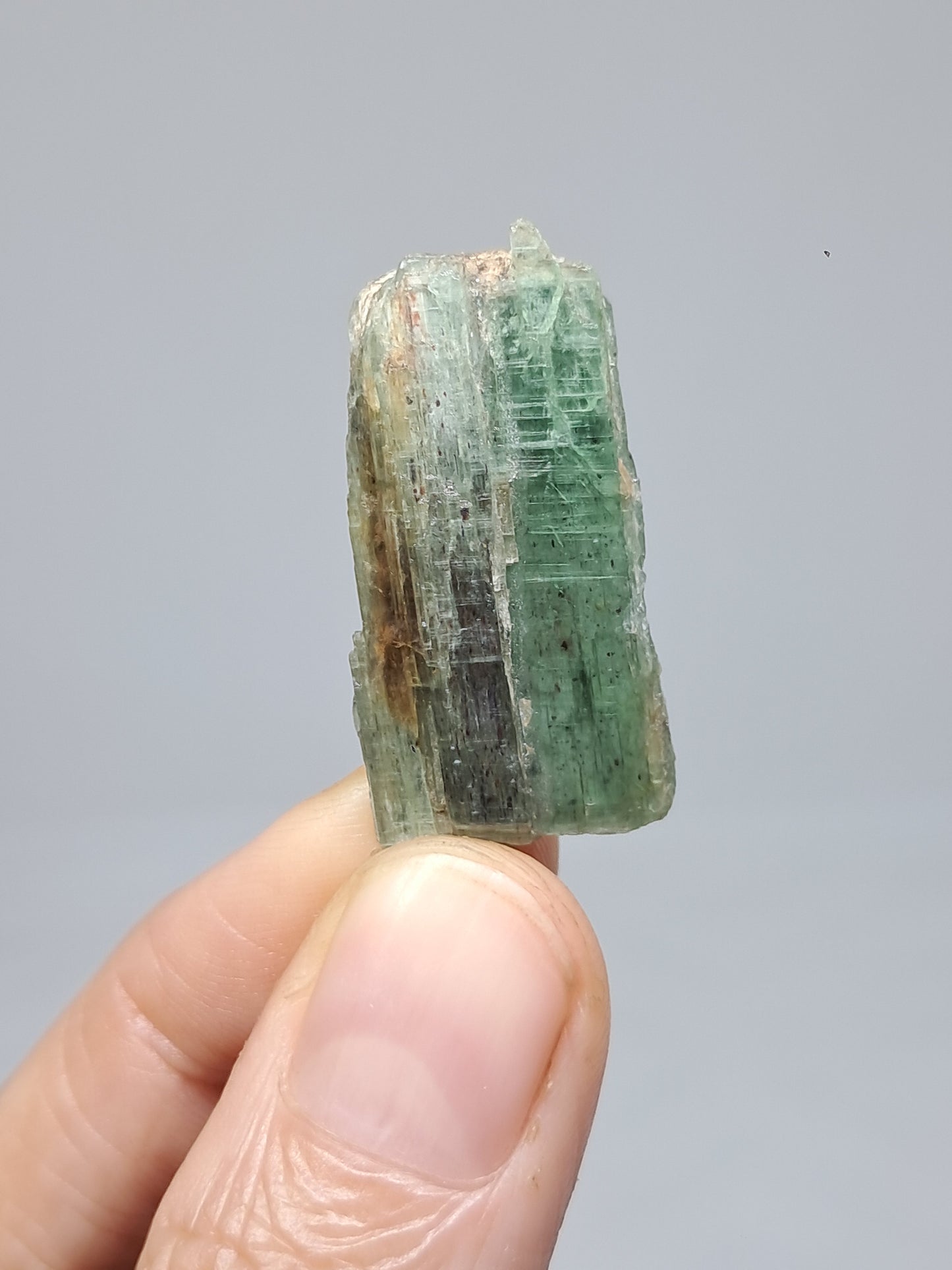 Green Kyanite (Tamil Nadu) Natural Crystal #KY8