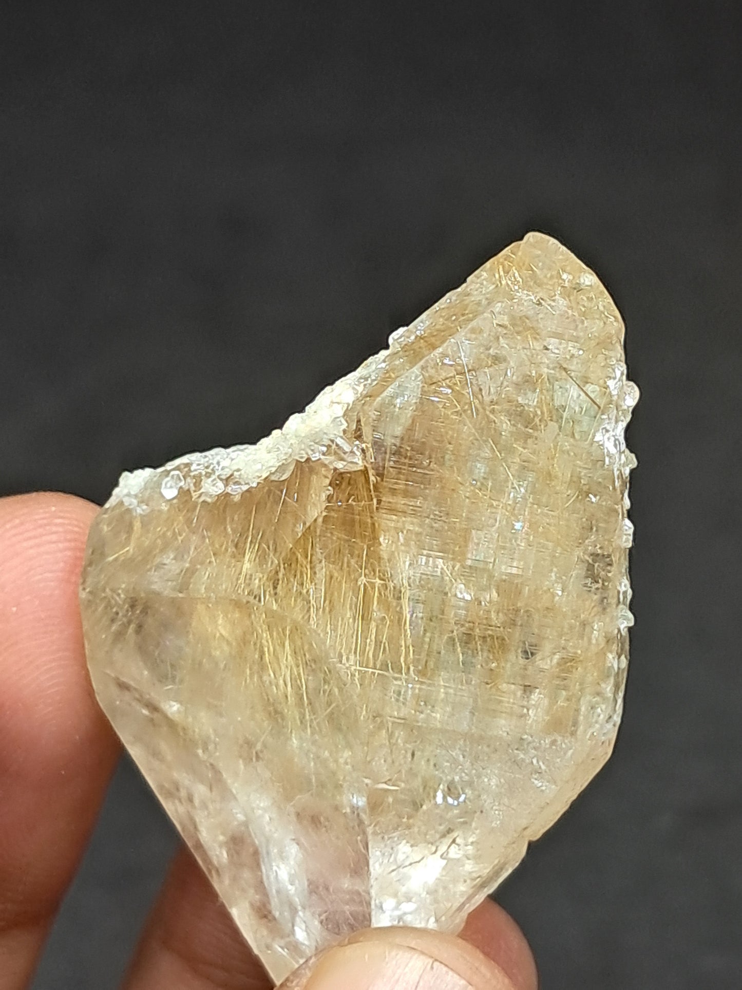 Himalayan Quartz w/ Golden Rutile and Chlorite (Himachal Pradesh) Self-healed |  Natural Crystal #CH60