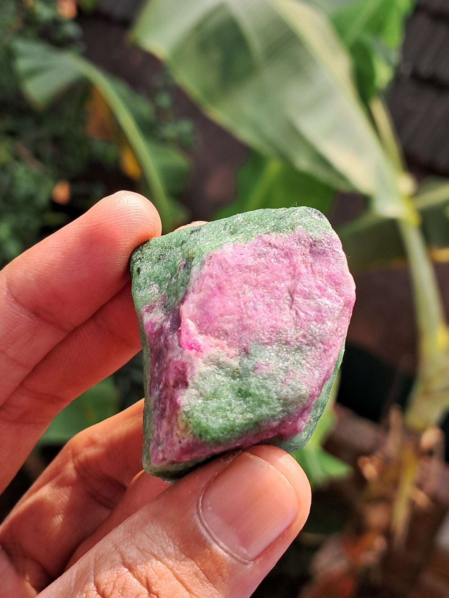 Ruby Zoisite w/ Hornblende (Tanzania) Rough Stone | Natural Specimen #RZ10