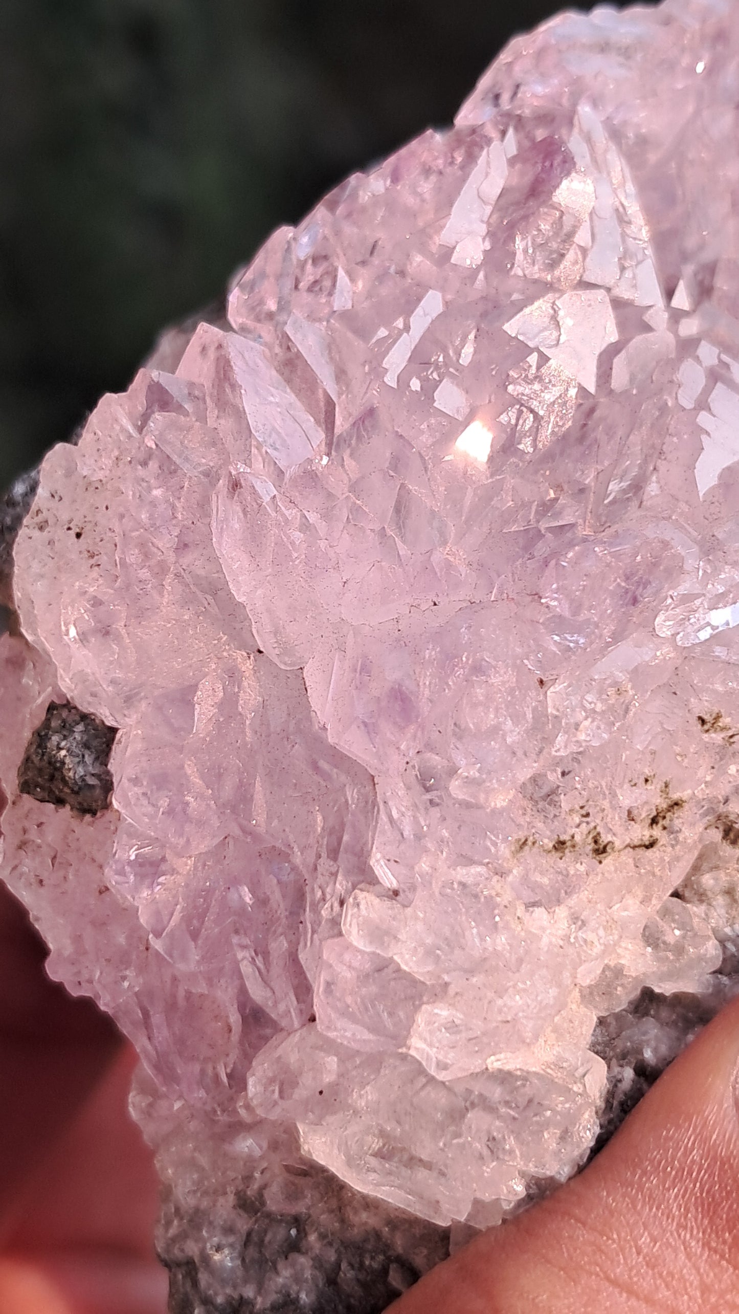 Amethyst Scepters on Basalt | Elestial Formation | Natural Crystal | Mineral Specimen #KA190