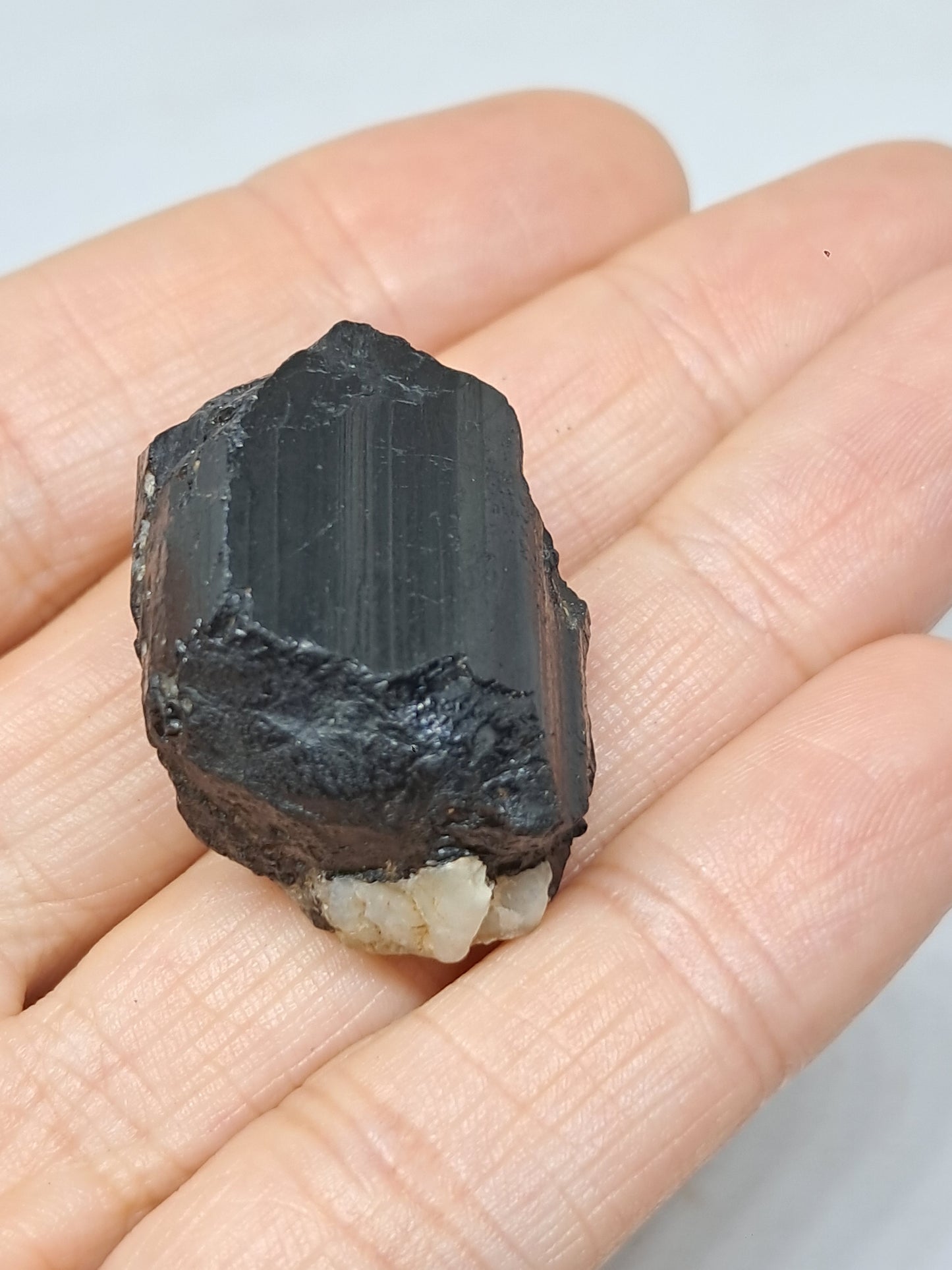 Black Tourmaline Crystal (Karnataka) Natural Stone | Mineral Specimen #BT9