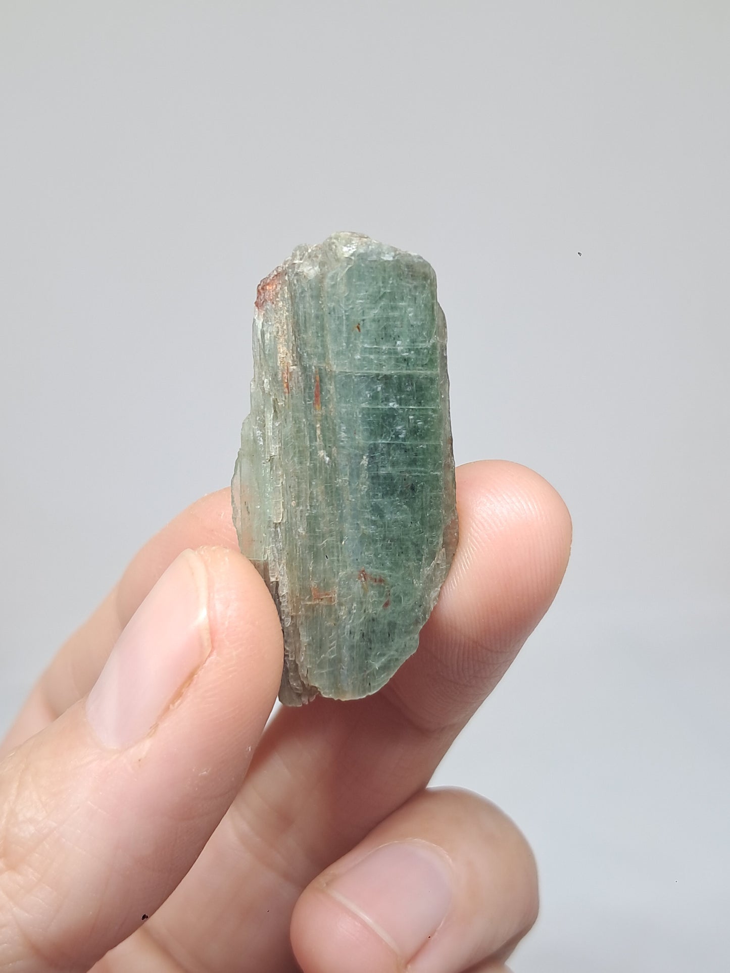 Set of 4 Green Kyanites (Tamil Nadu) Natural Crystals #KY10