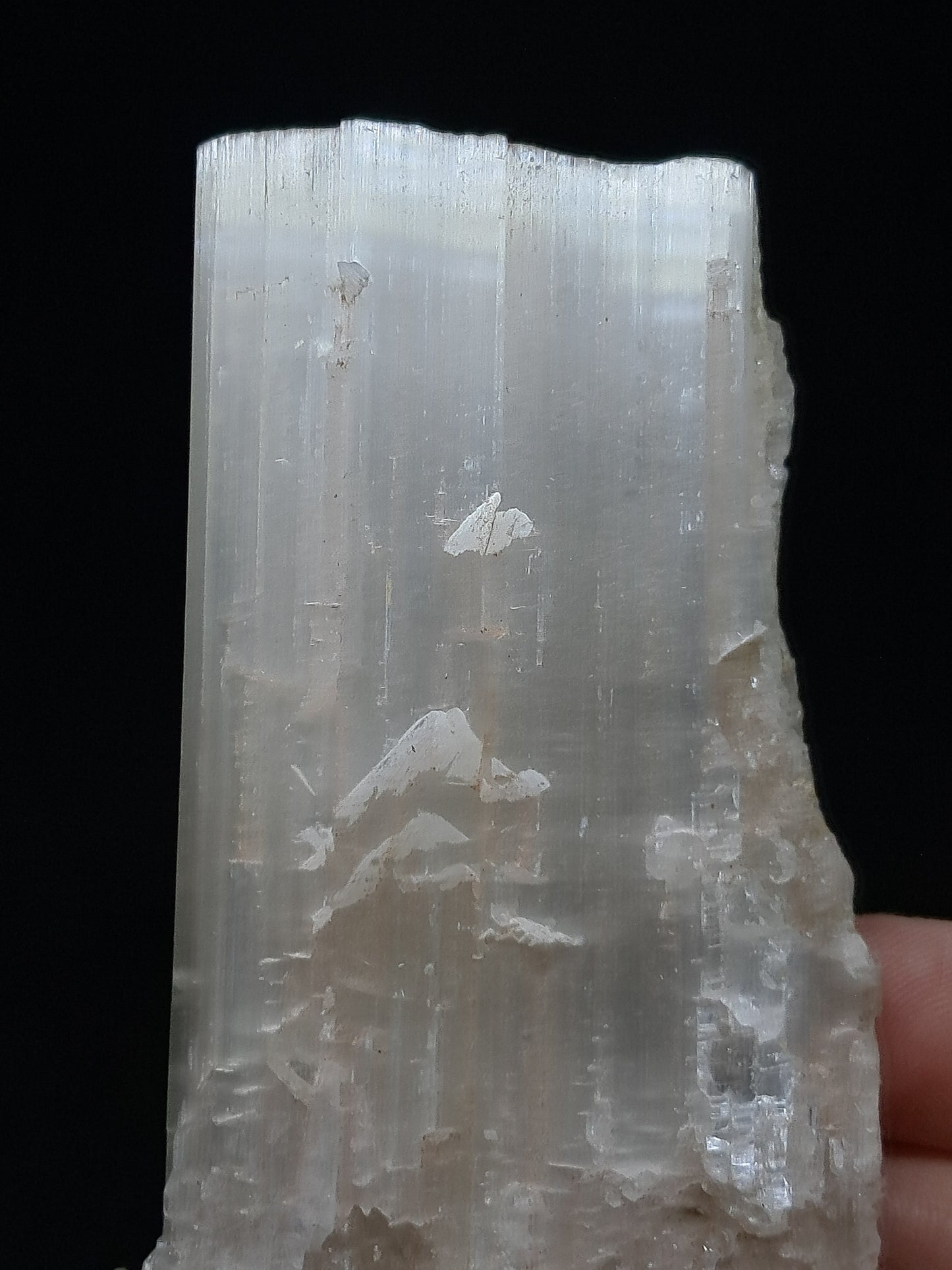 Satin Spar *Selenite* (India) Fibrous Gypsum | Mineral Specimen | Rough Crystal #SE1