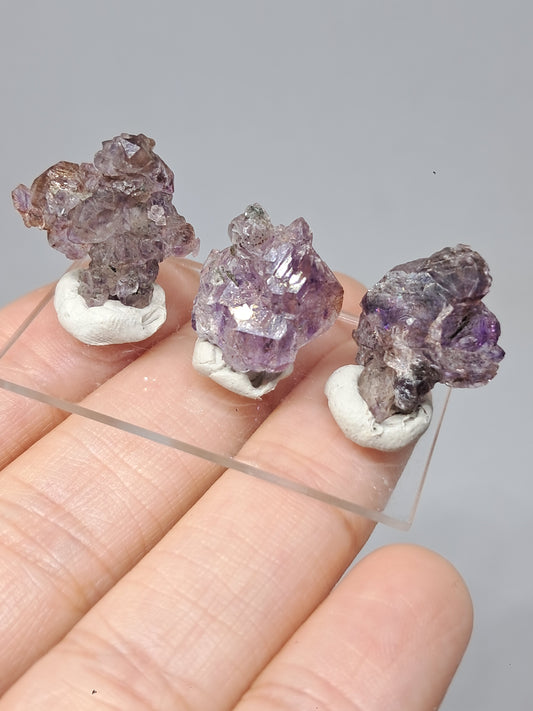 Set of 3 Amethyst from Karur w/ "Super Seven" Inclusions | Natural Crystals | Mineral Specimen #KA167