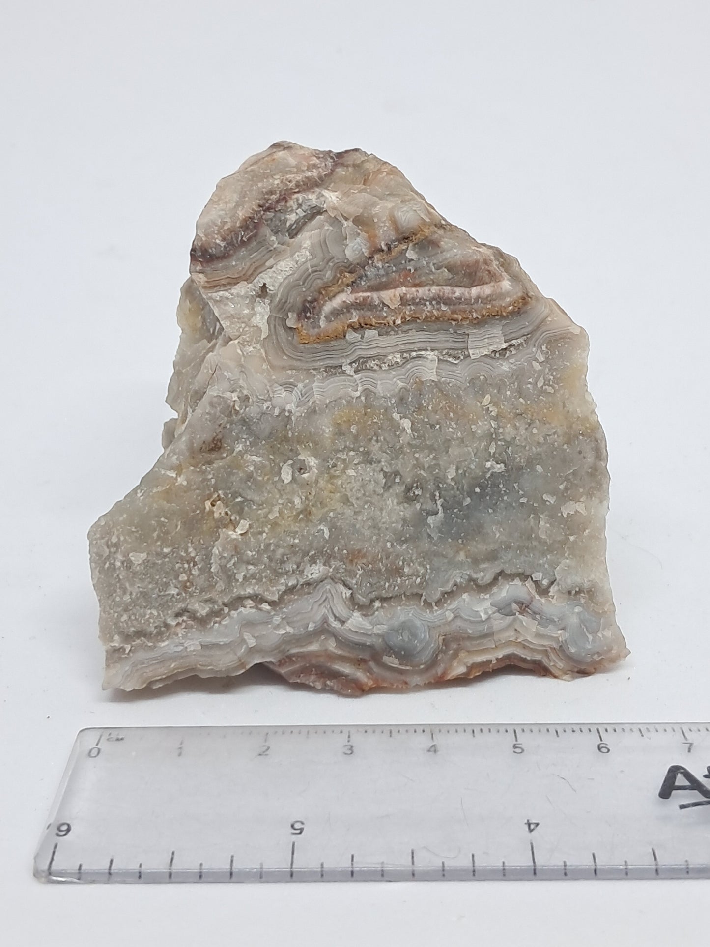Crazy Lace Agate Rough | Natural Stone | Mineral Specimen #CLA2