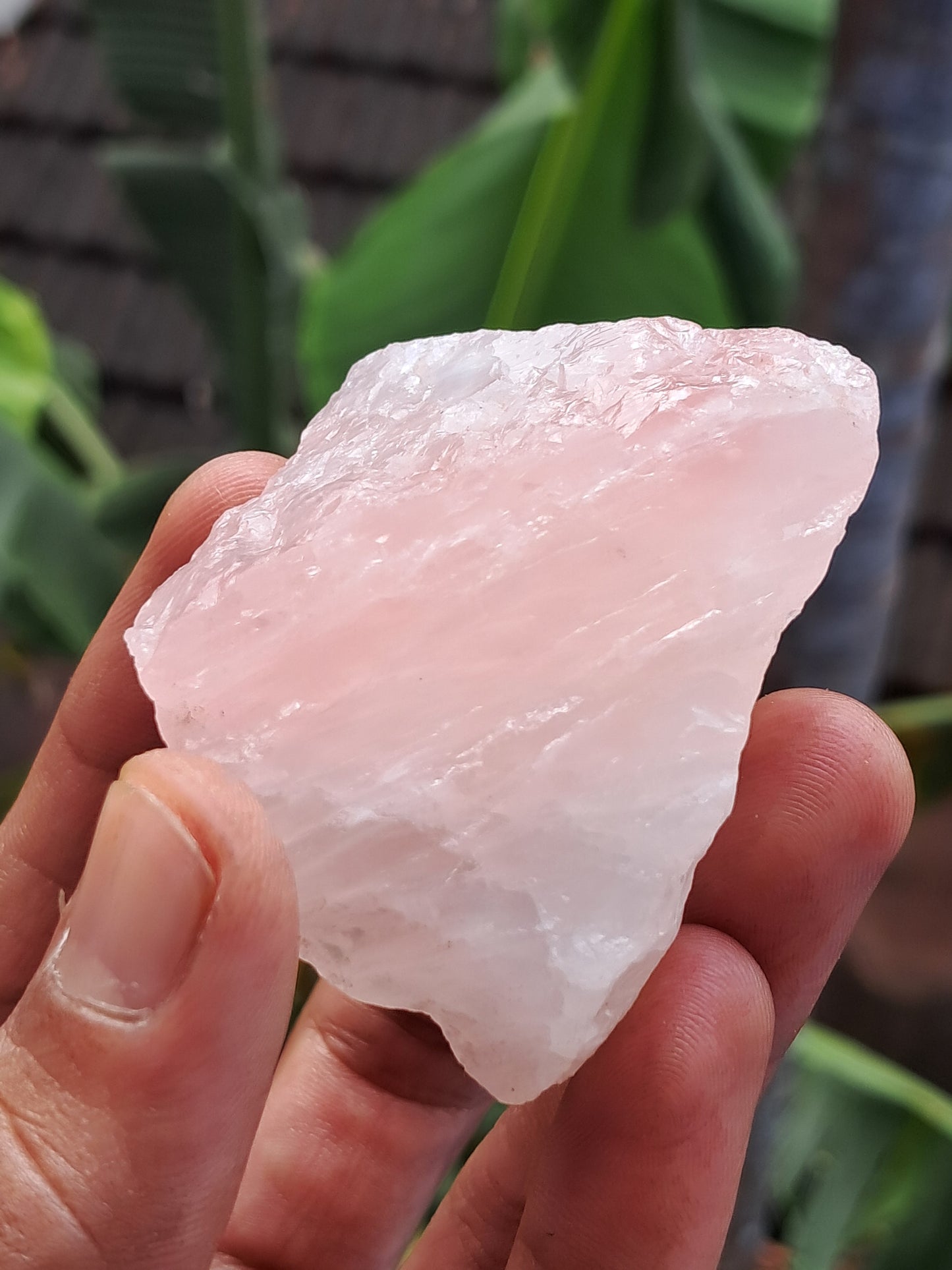 Rose Quartz (Rajasthan) Rough Stone | Natural Gemstone #RQ12