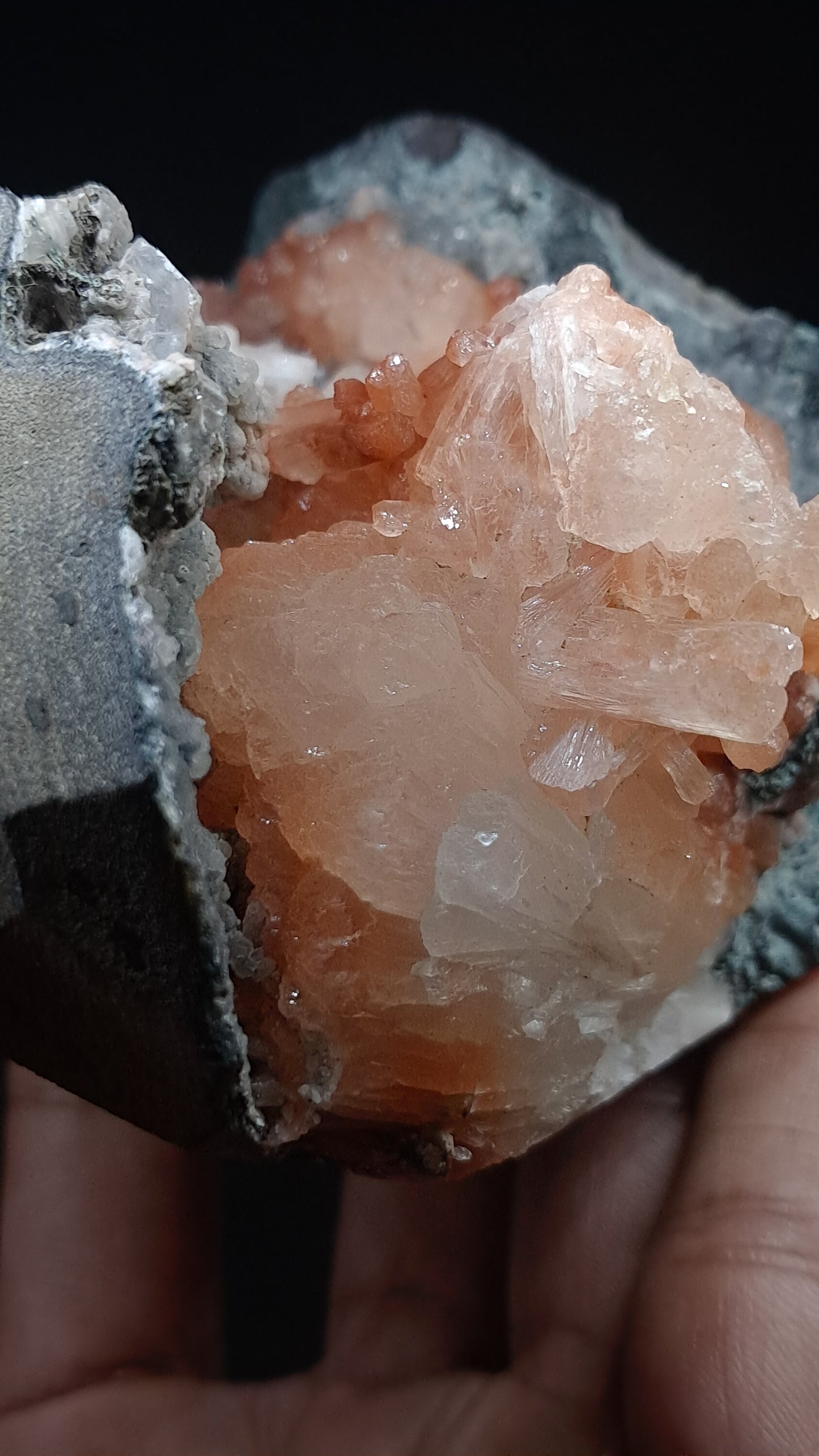 Peach Stilbite-Ca In Basalt (Ajanta) | Large Bow, Fan & Sheaf Crystal Aggregates | Self-standing #ZL29
