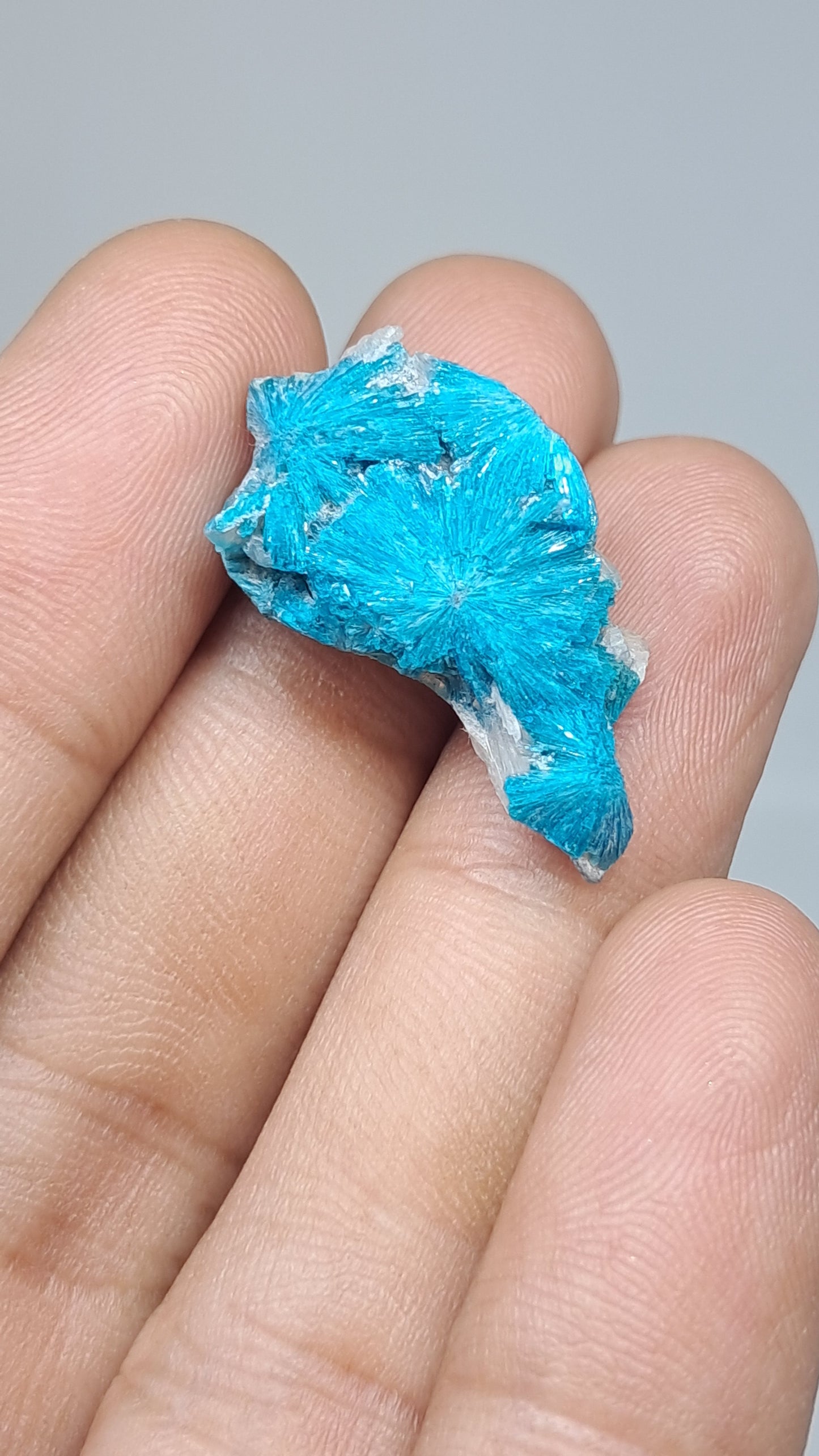 Flores de cavansita sobre matriz de estilbita (Wagholi) Cristal en bruto | Piedra natural | Ejemplar de mineral raro #CV63