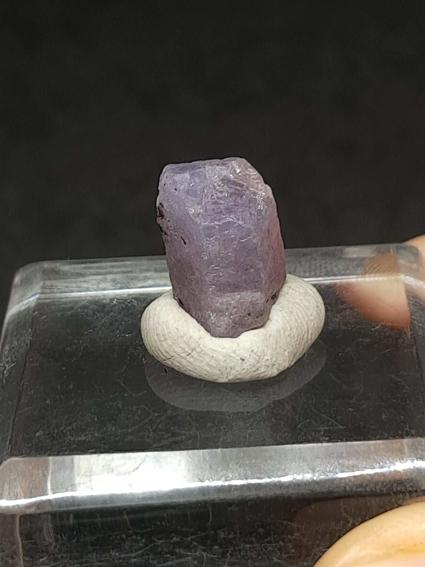 Natural Sapphire Crystal (Madagascar) Rough Stone | Mineral Specimen #SP61