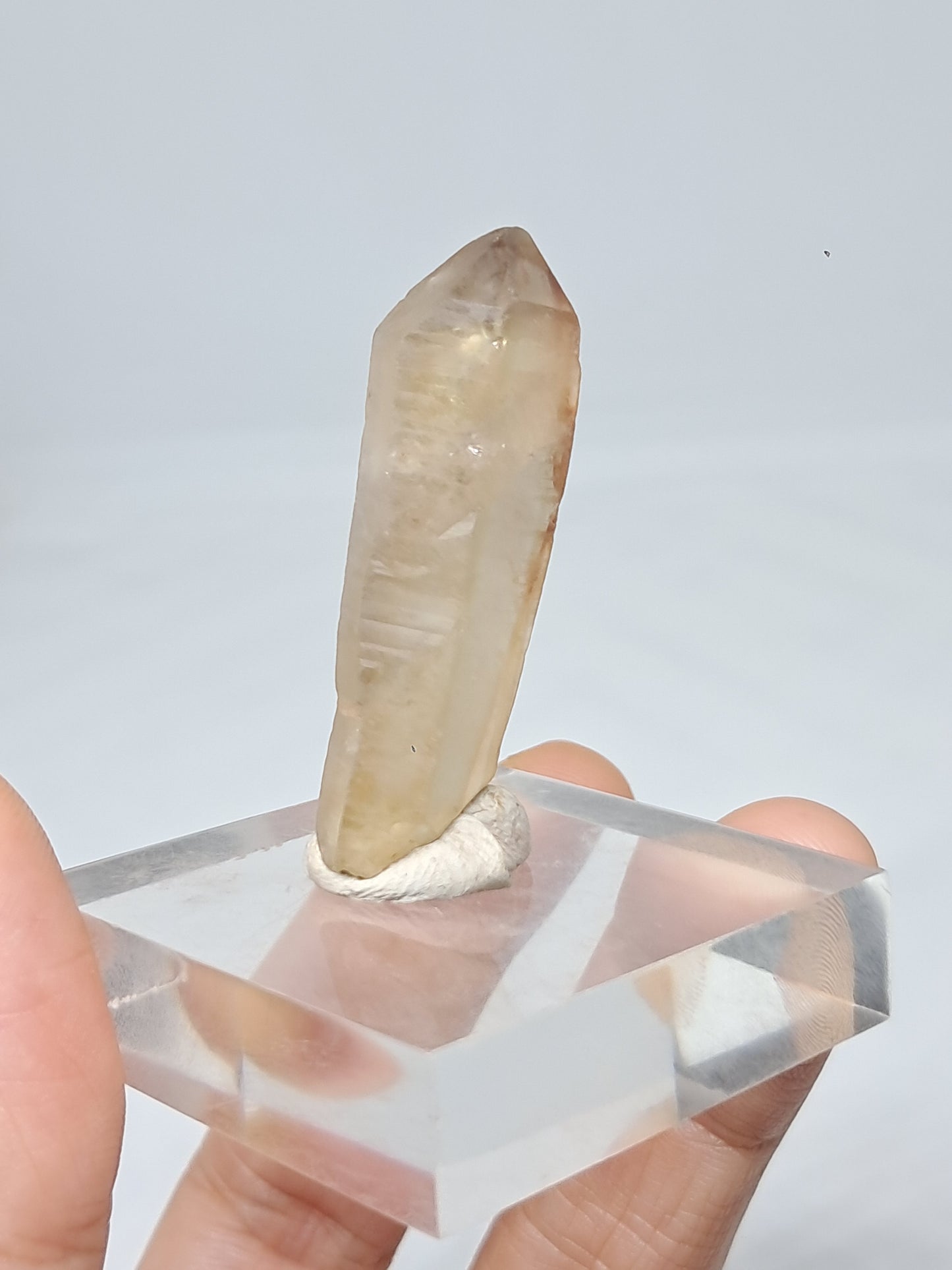 Natural Citrine Crystal Point (Democratic Republic of Congo) #CTN33