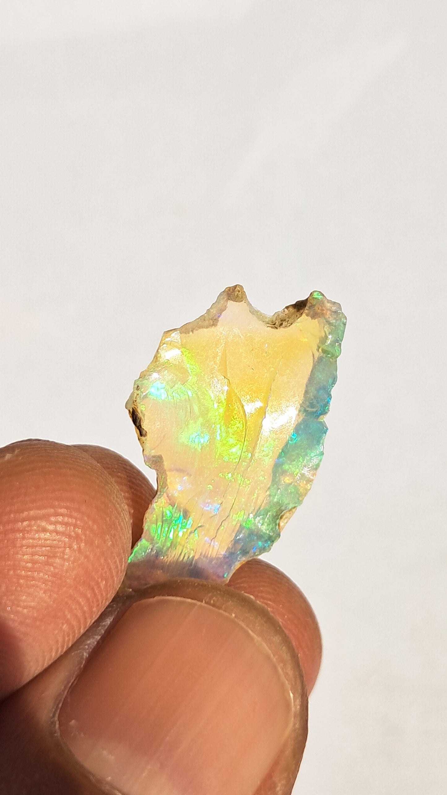 Natural Ethiopian Opal Rough | White Hydrophane Opal with Bright Play of Color #OP10