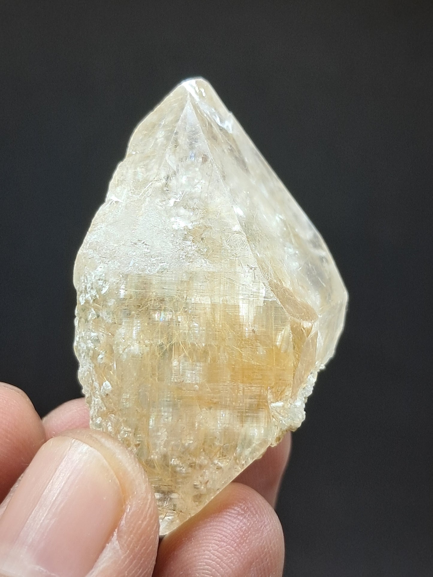 Himalayan Quartz w/ Golden Rutile and Chlorite (Himachal Pradesh) Self-healed |  Natural Crystal #CH60