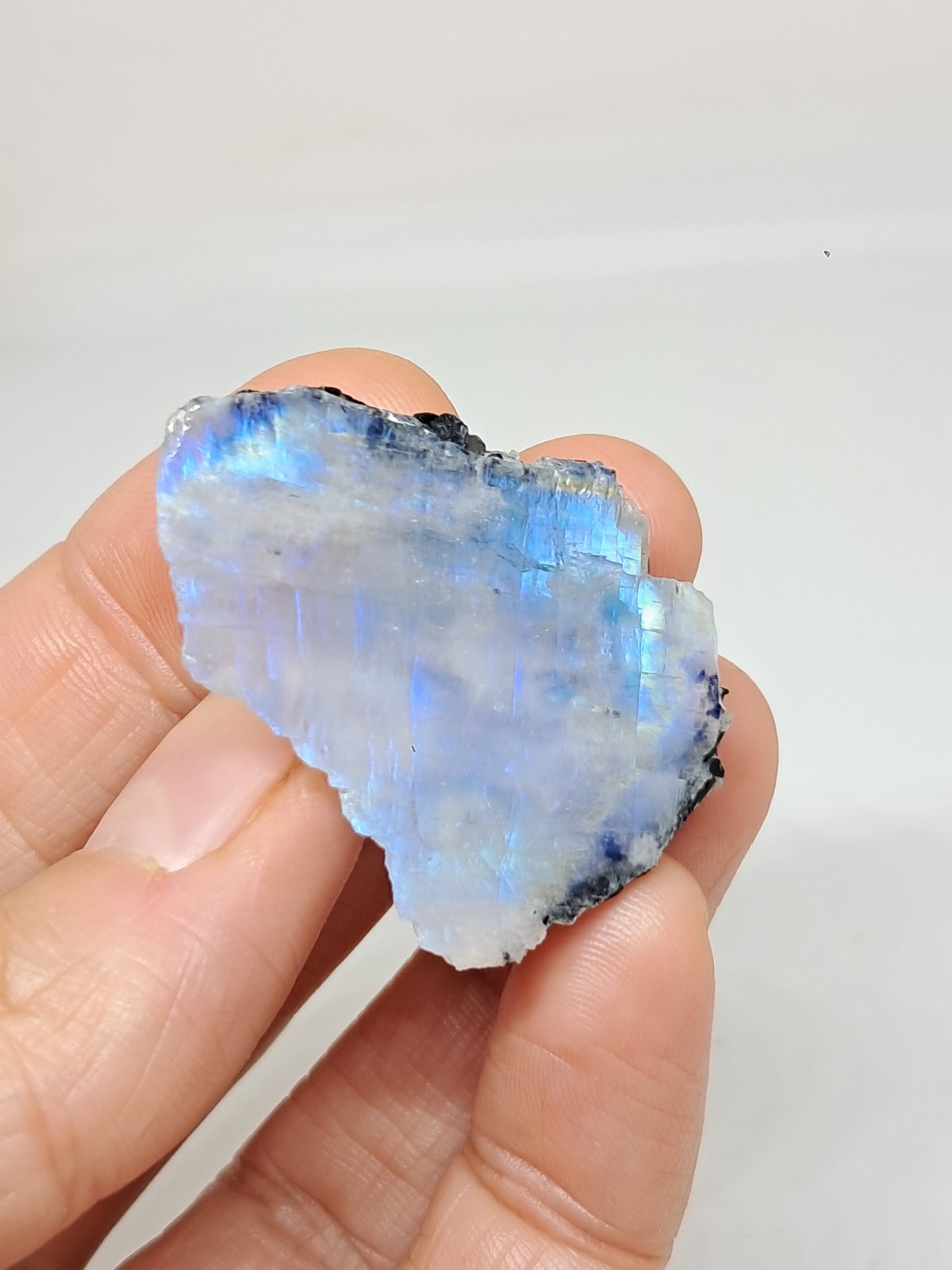 White Labradorite | Rainbow Moonstone *High Grade* (Tamil Nadu) Rough & Polished Stone | Natural Rock #MN19