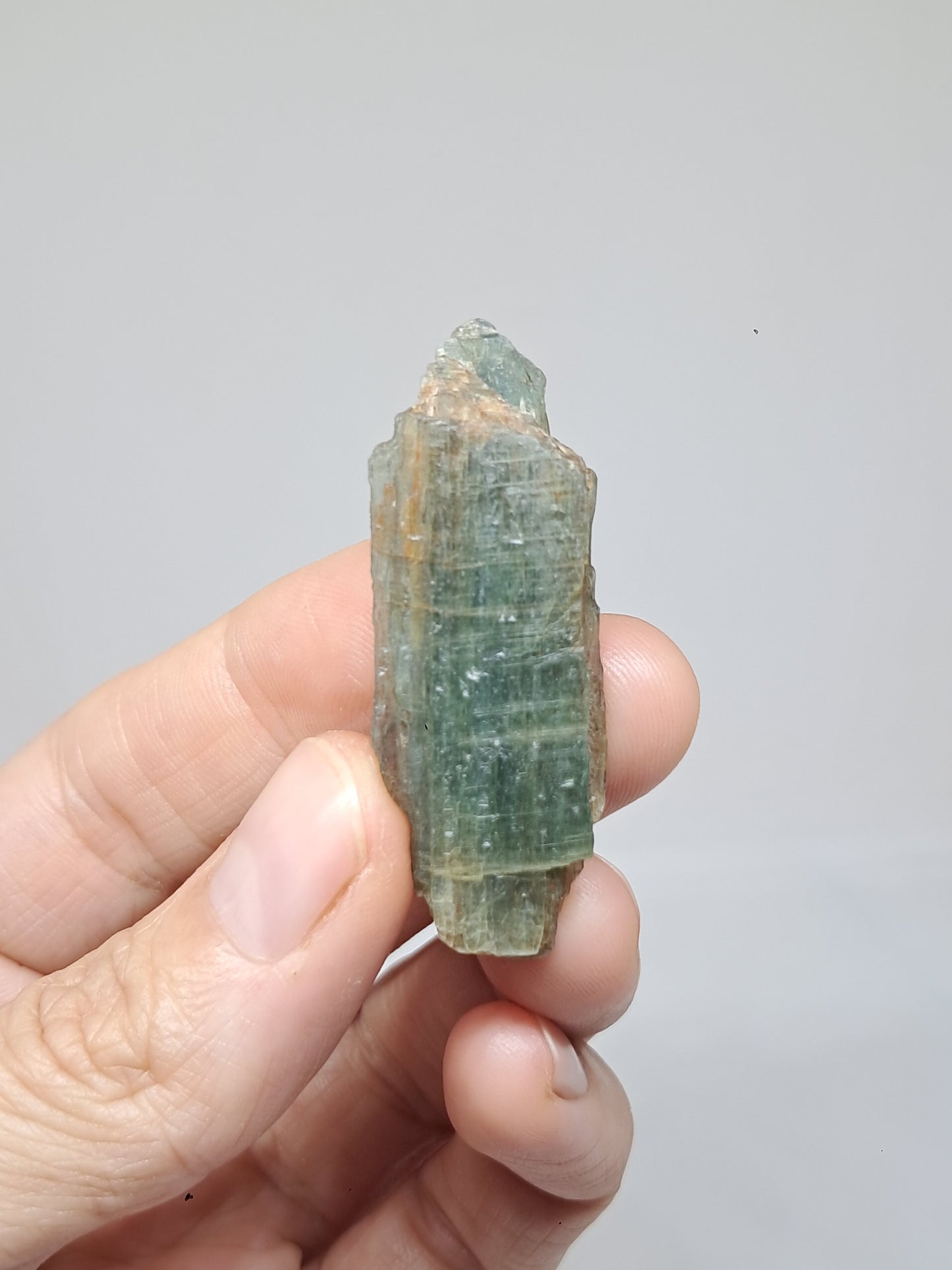 Set of 4 Green Kyanites (Tamil Nadu) Natural Crystals #KY10