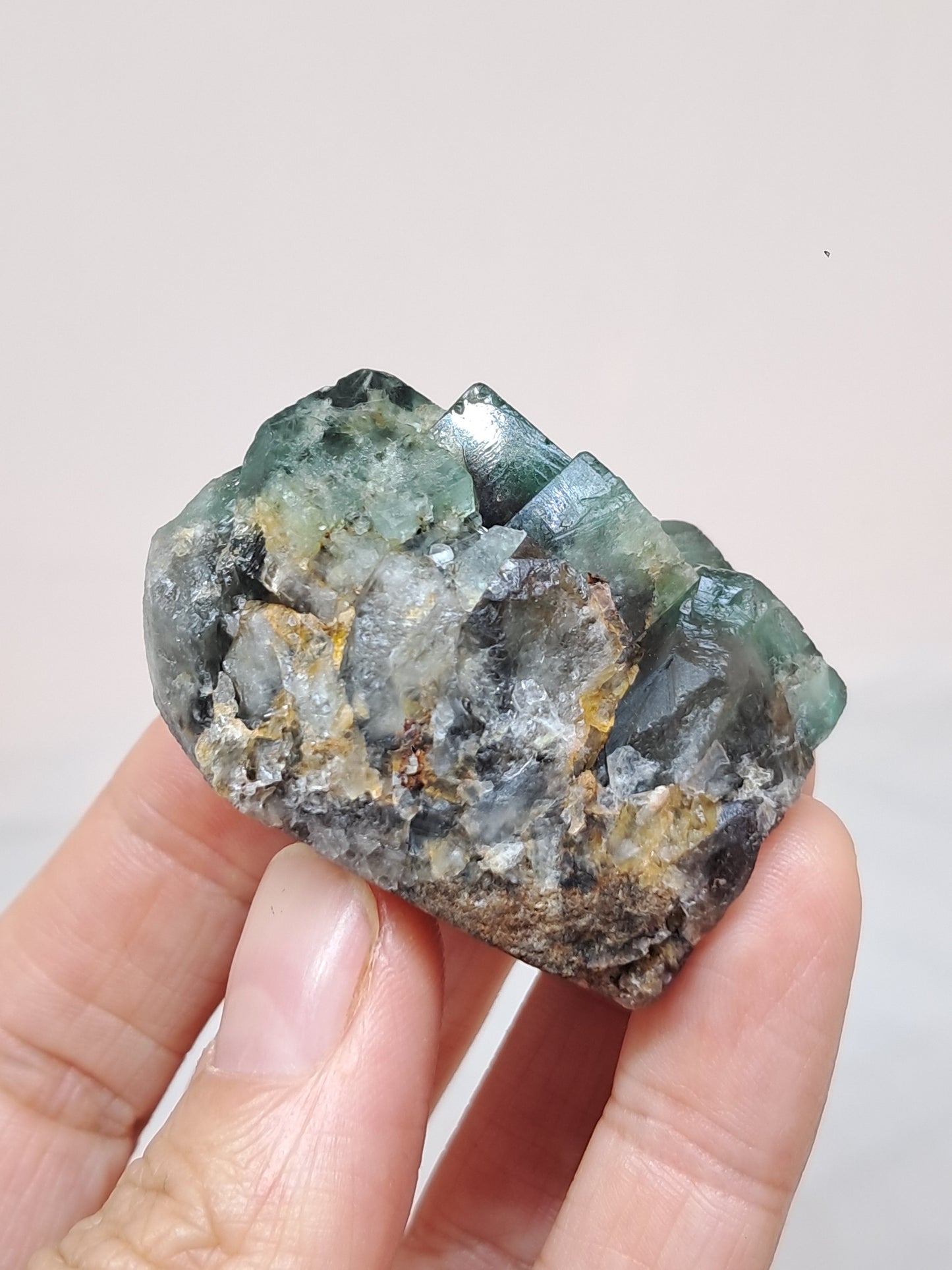 Bicolor Fluorite on Matrix (Durham, UK) Natural Crystal | Mineral Specimen #FL4