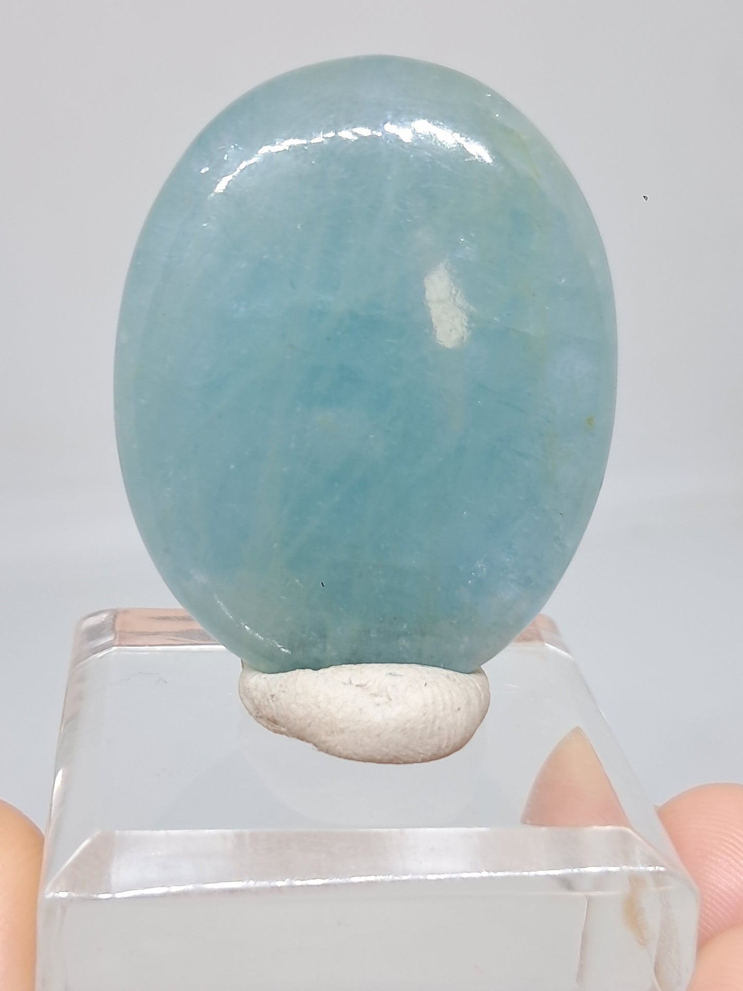 Aquamarine Palmstone | Polished Natural Stone | High Quality