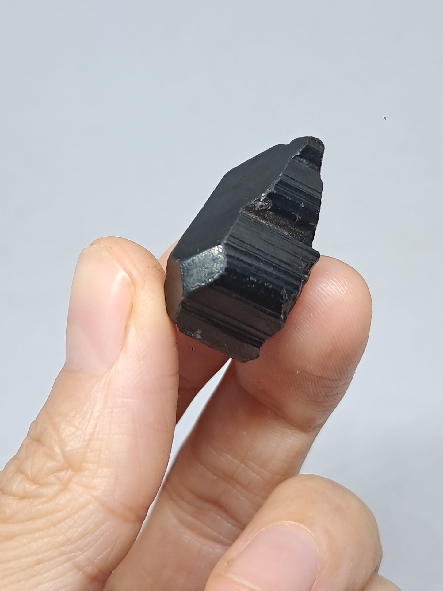 Black Tourmaline Crystal (Karnataka) Naturally Terminated | Natural Stone | Mineral Specimen #BT7