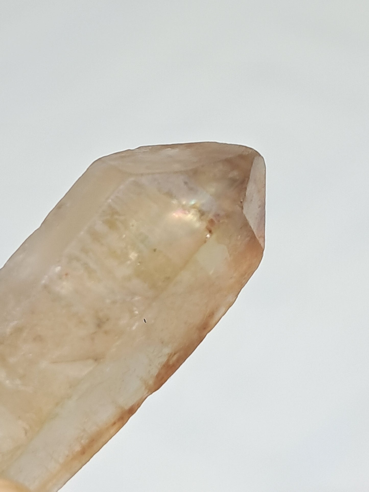 Natural Citrine Crystal Point (Democratic Republic of Congo) #CTN33