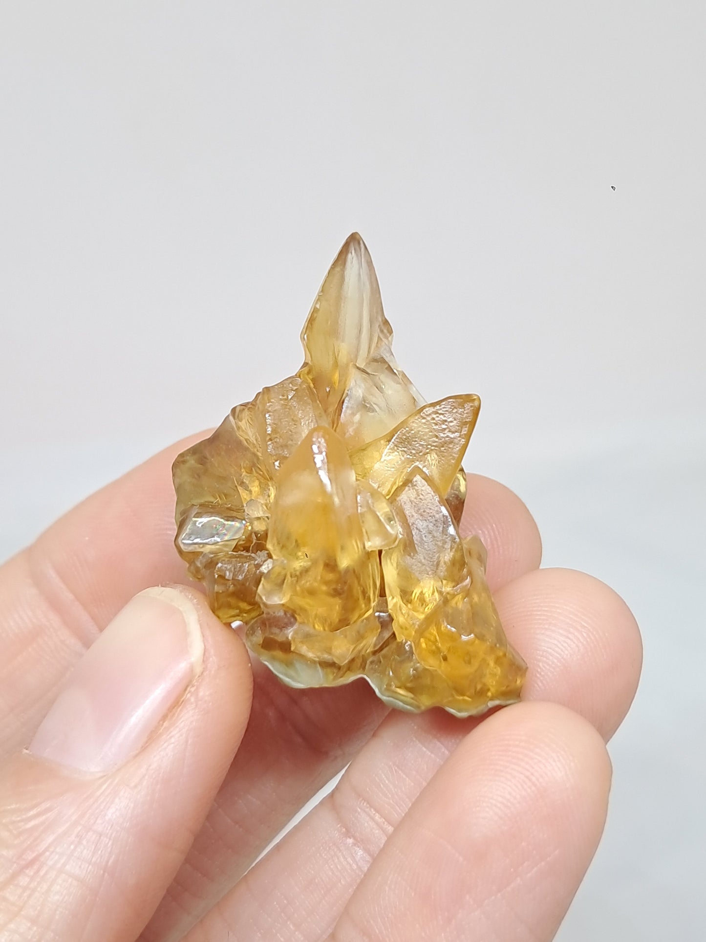 Calcita amarilla miel (Maharashtra) Formación de diente de perro | Cristal natural | Ejemplar mineral n.° CA25