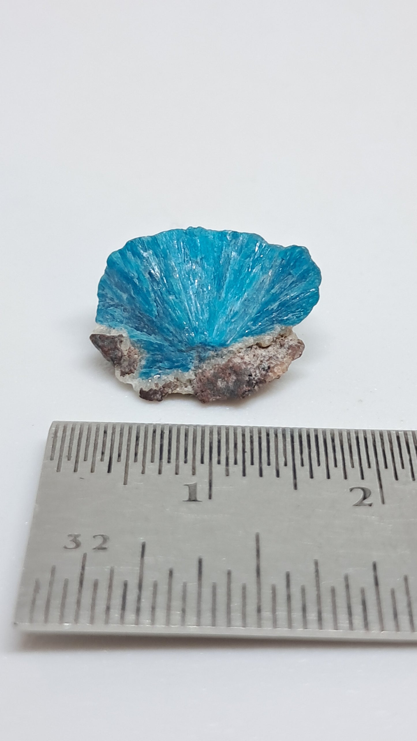 Cavansita sobre matriz (Wagholi) Cristal en bruto | Piedra natural | Ejemplar de mineral raro #CV64