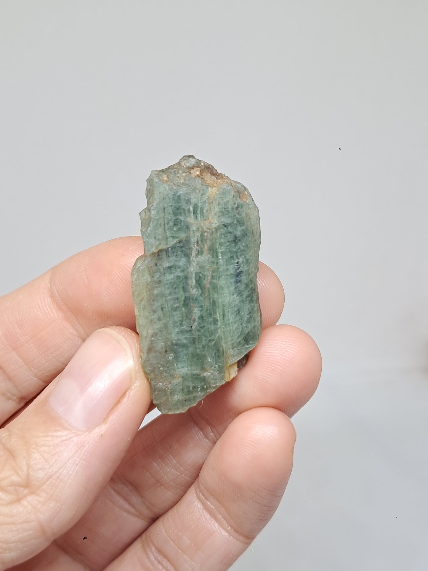 Set of 4 Green Kyanites (Tamil Nadu) Natural Crystals #KY10