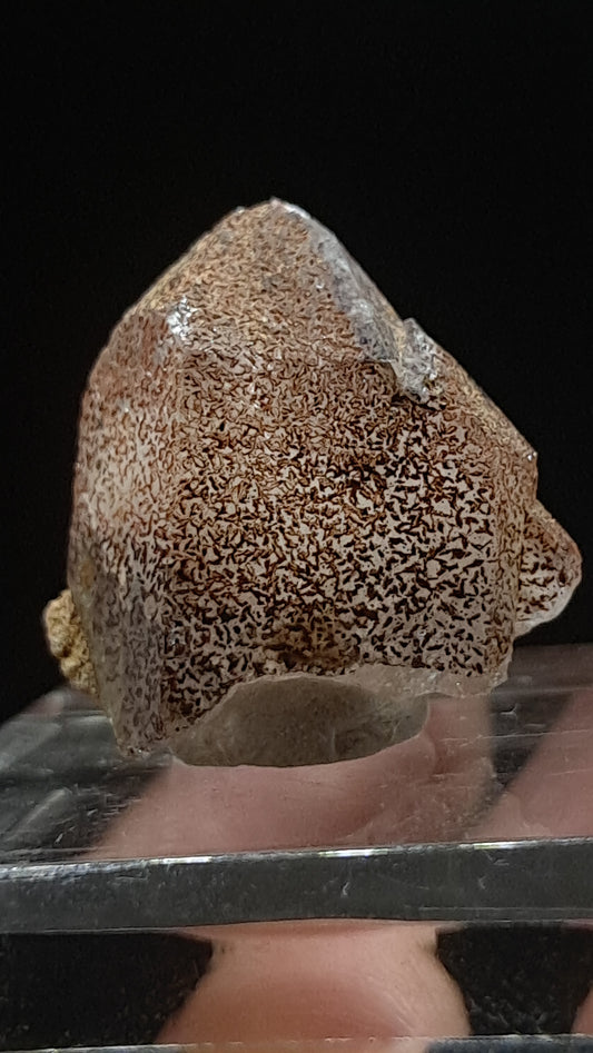 Smokey Elestial Quartz (Karur) Interesting Inclusions | Mineral Specimen #EQ31