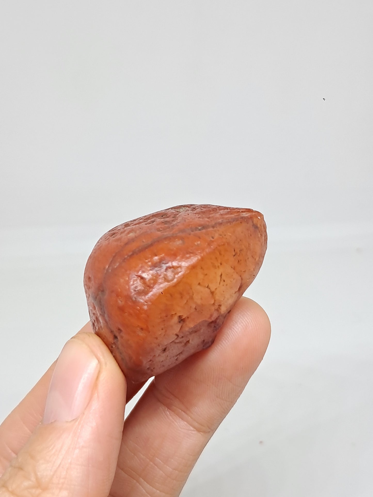 Rough Carnelian (India) Raw Stone | Natural Crystal | Mineral Specimen #CRN19