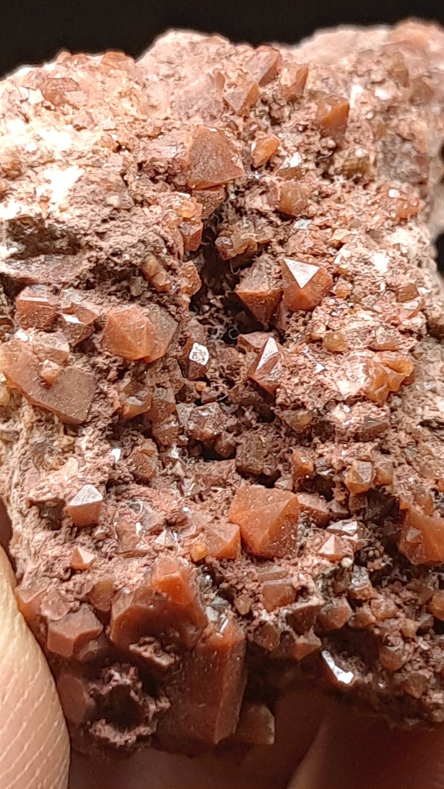 Jacinto de Compostela Quartz Cluster On Matrix | Natural Crystal | Mineral Specimen #JCQ8