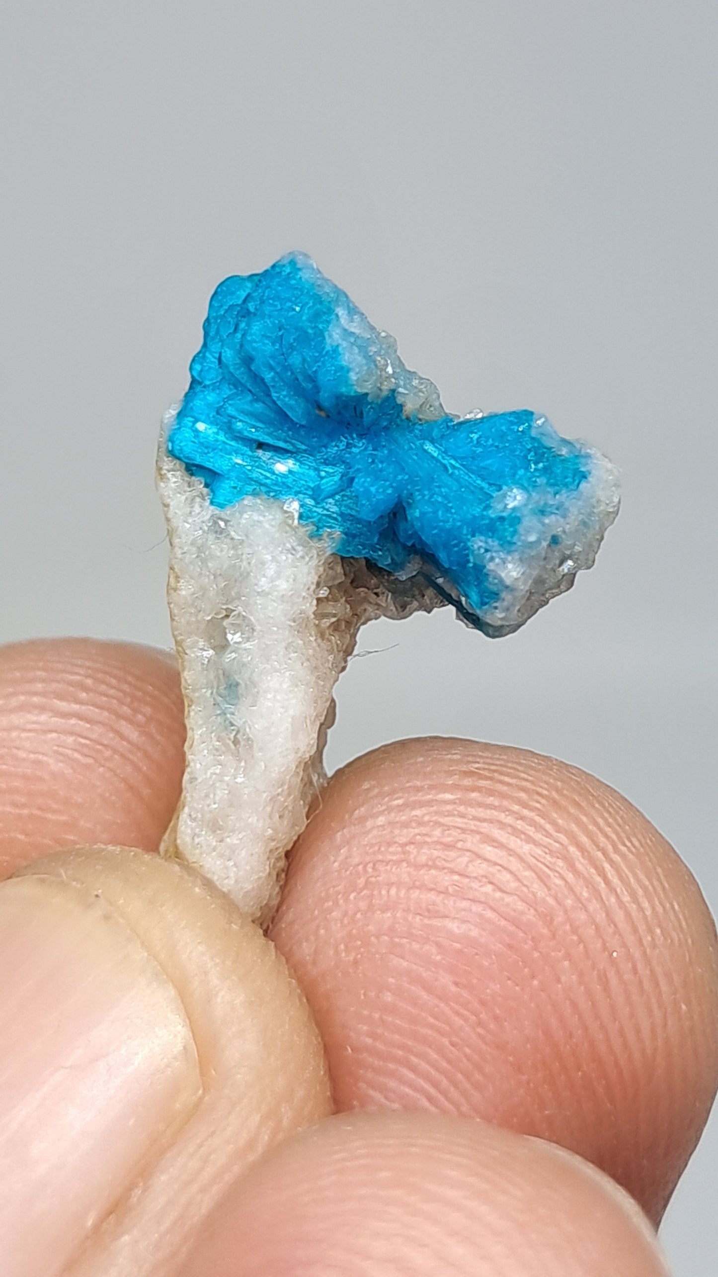 Cavansita con forma de arco en matriz (Wagholi) Cristal en bruto | Piedra natural | Muestra de mineral raro #CV62