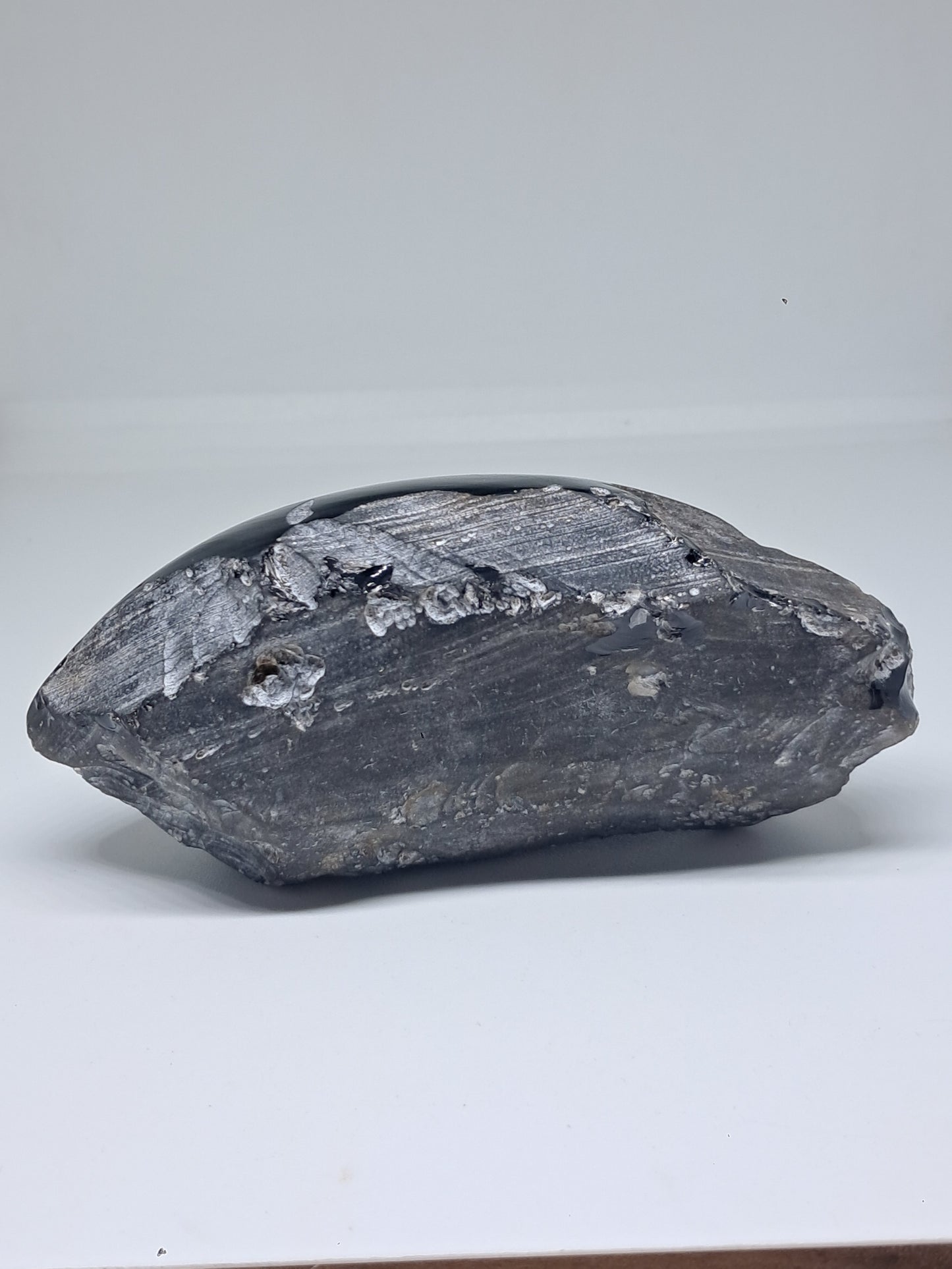 Rainbow Obsidian (Mexico) Natural Stone | Half Polished Half Rough #RO7