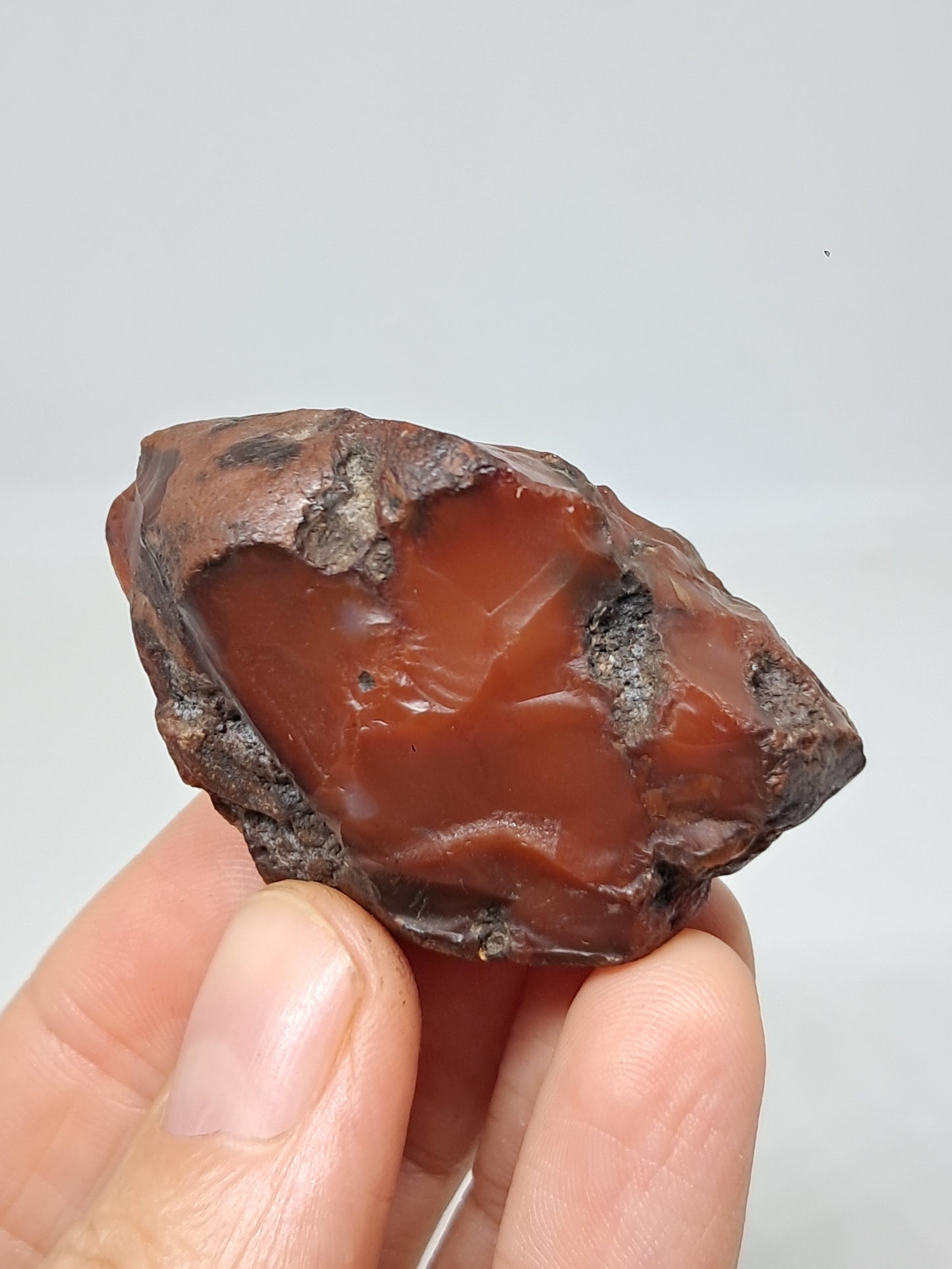 Rough Carnelian (India) Raw Stone | Natural Crystal | Mineral Specimen #CRN29