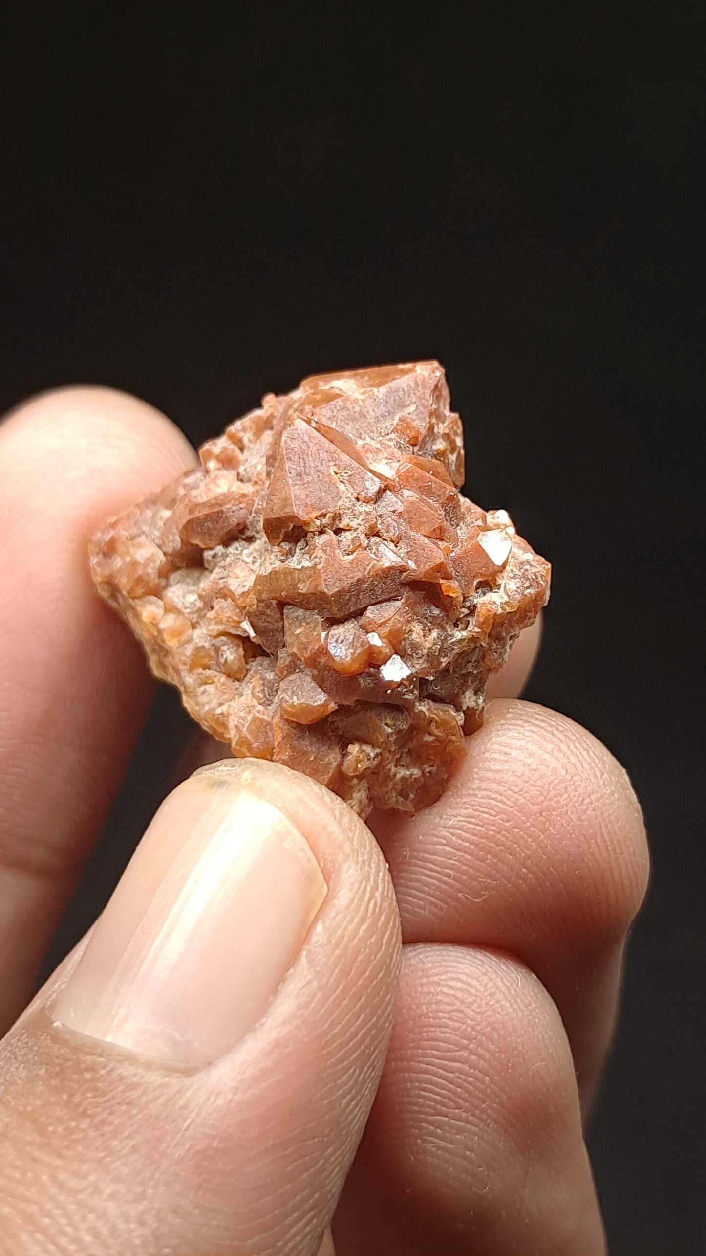 Jacinto de Compostela Quartz | Natural Crystal | Mineral Specimen #JCQ1