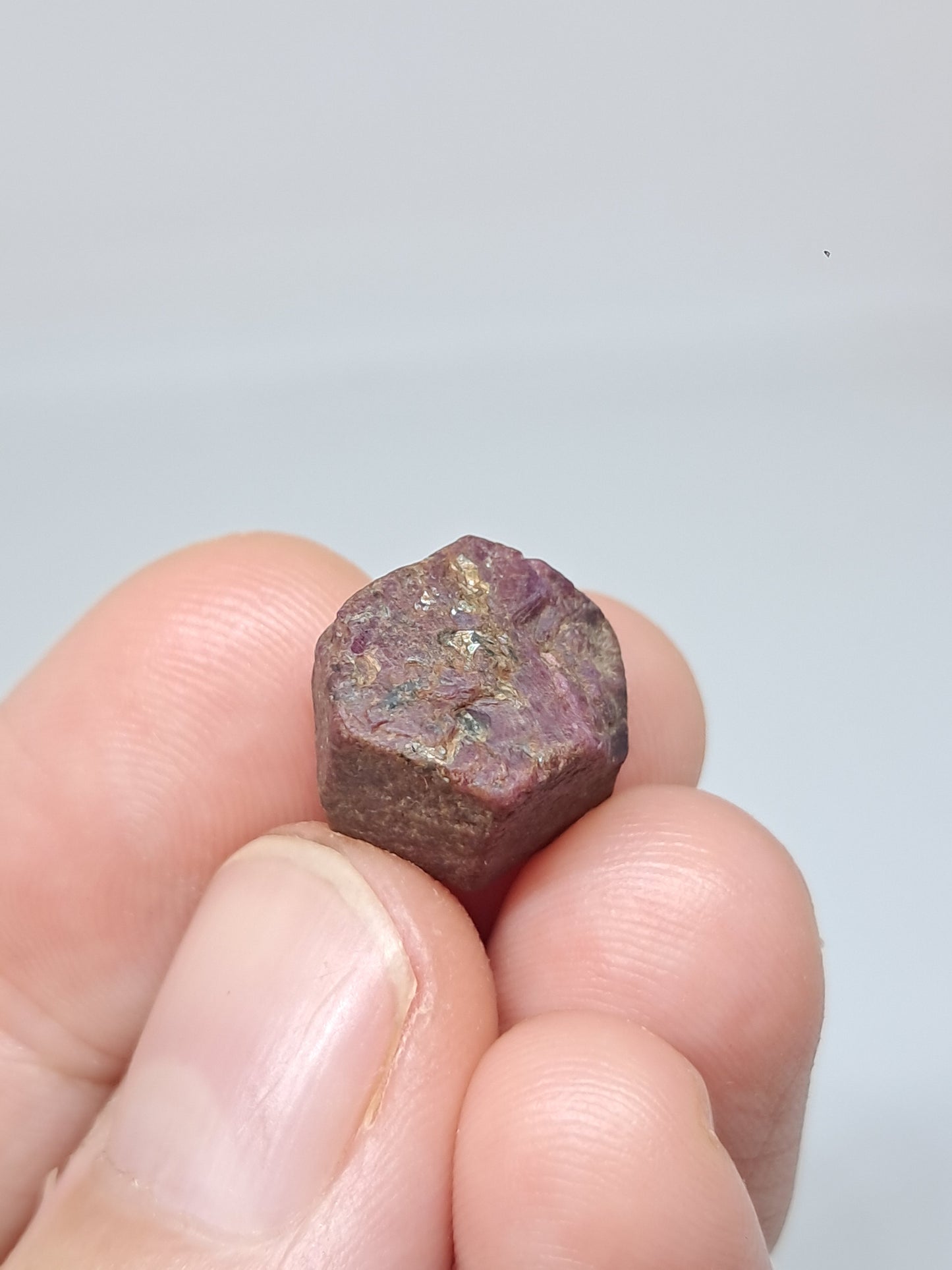 Cristal de rubí en bruto (Tamil Nadu) Piedra natural | Muestra mineral #RB24