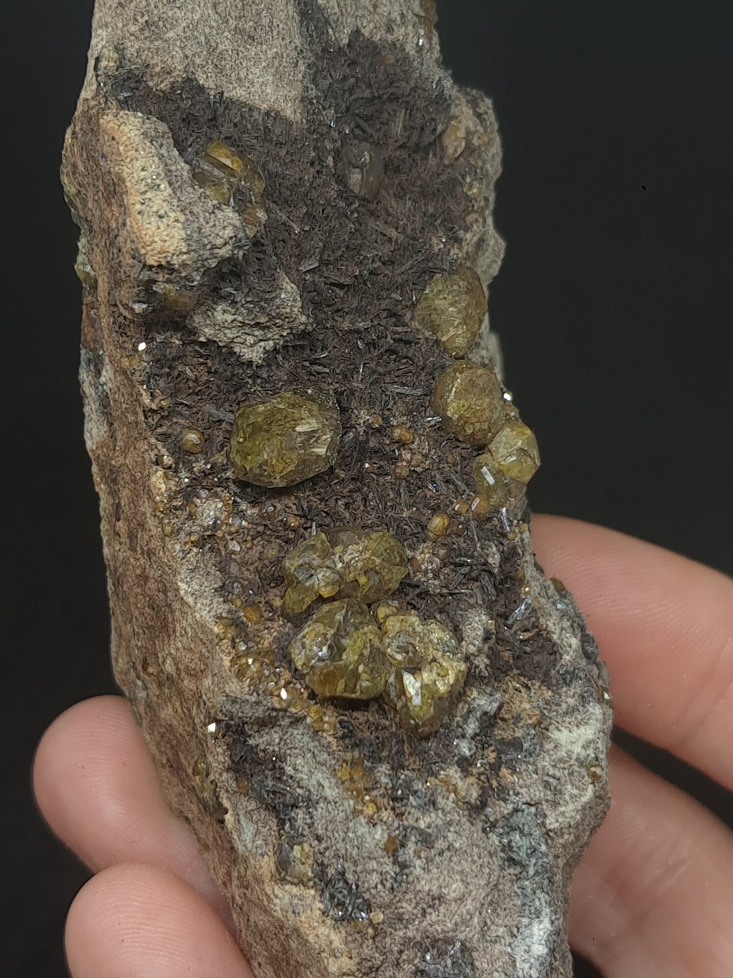Green Garnet w/ Aegirine (Acmite) on Matrix (Mexico) Andradite Garnet Cluster |Rough Crystal Stone | Mineral Specimen #GR27