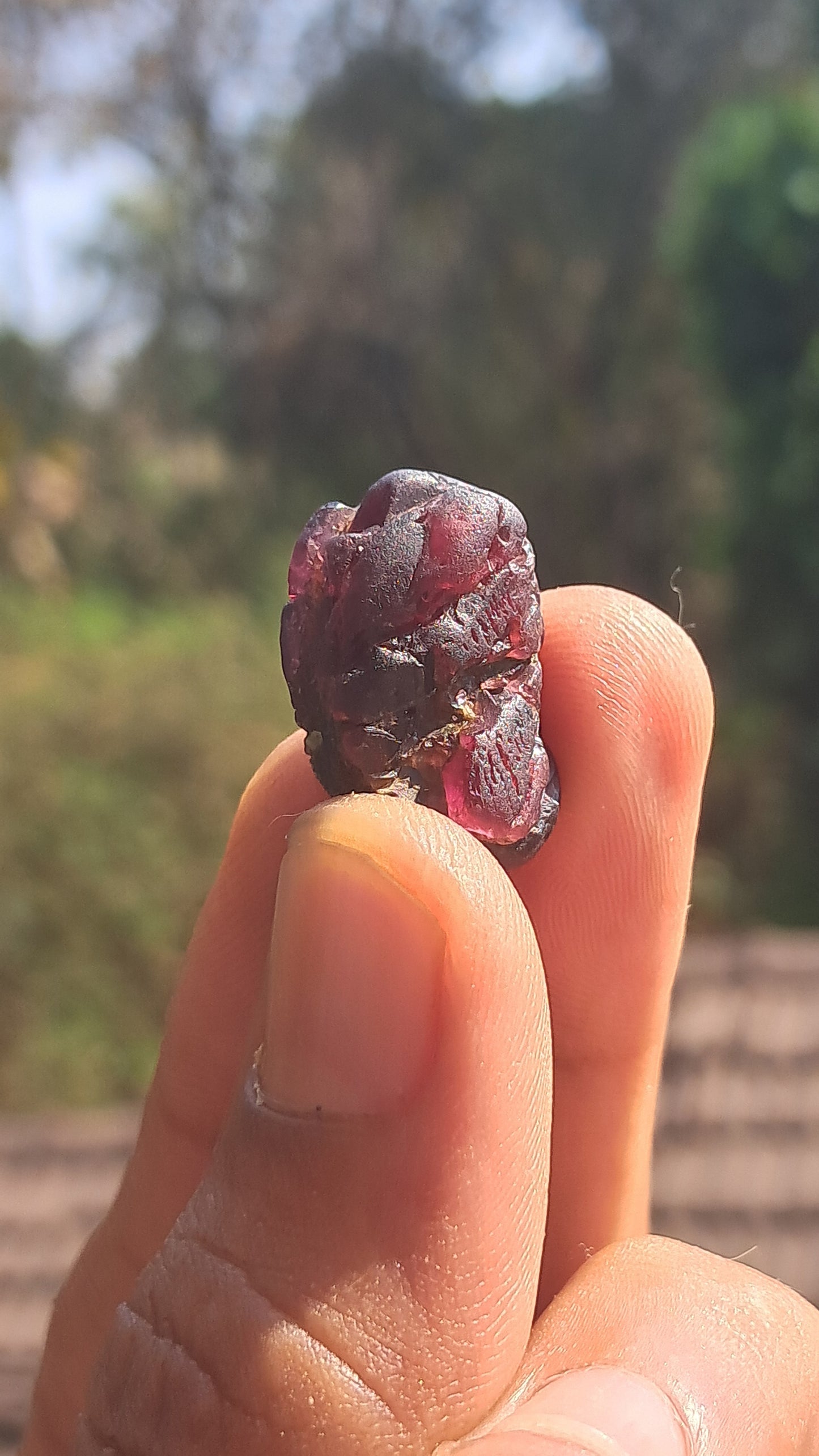 Granate rojo (Karur) | Pulido por el río | Piedra natural #RG9
