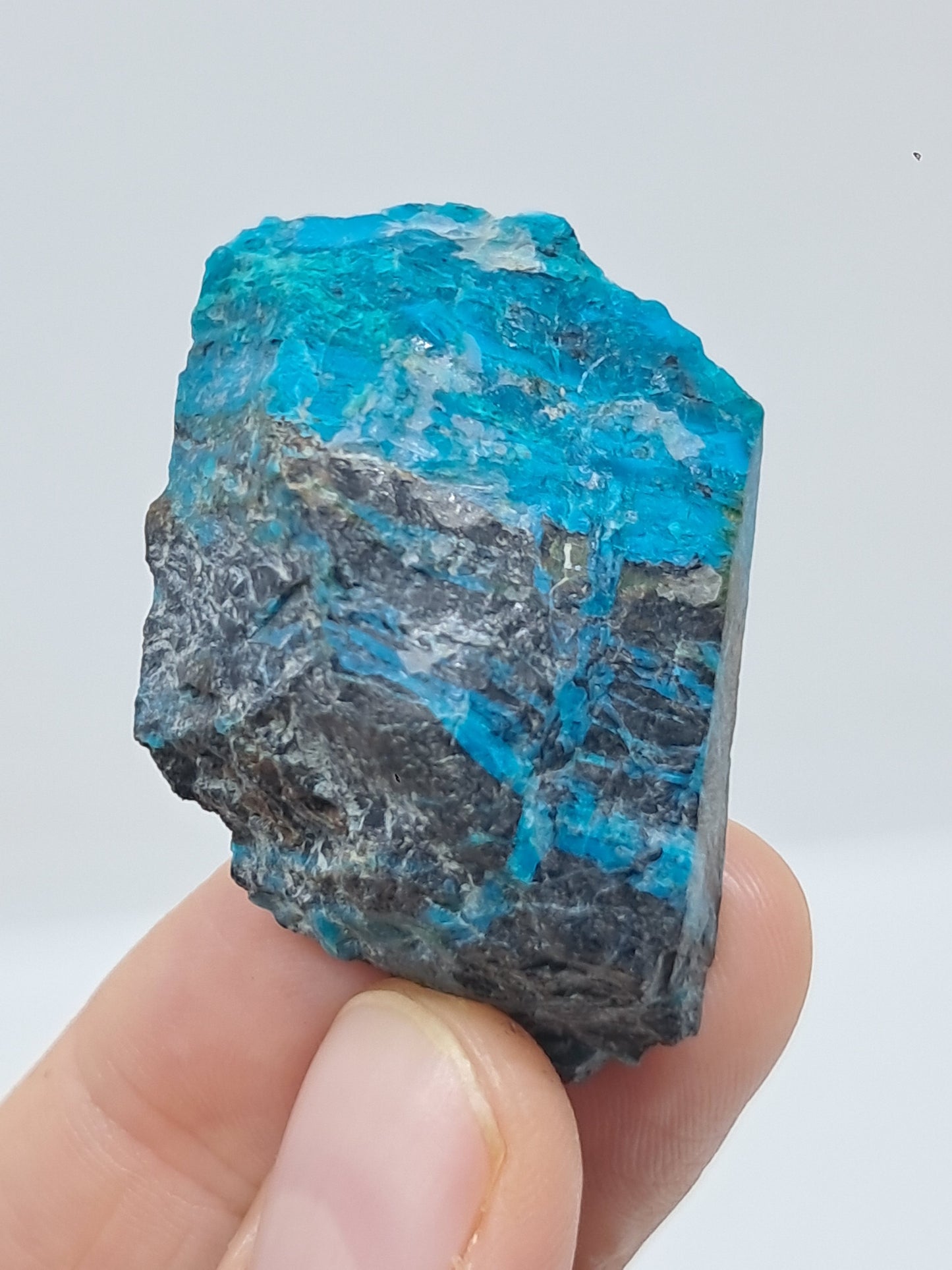 Blue Opal from Chile (Atacama) *New Find*| Rough Natural Stone | Rare Mineral Specimen #CBO3