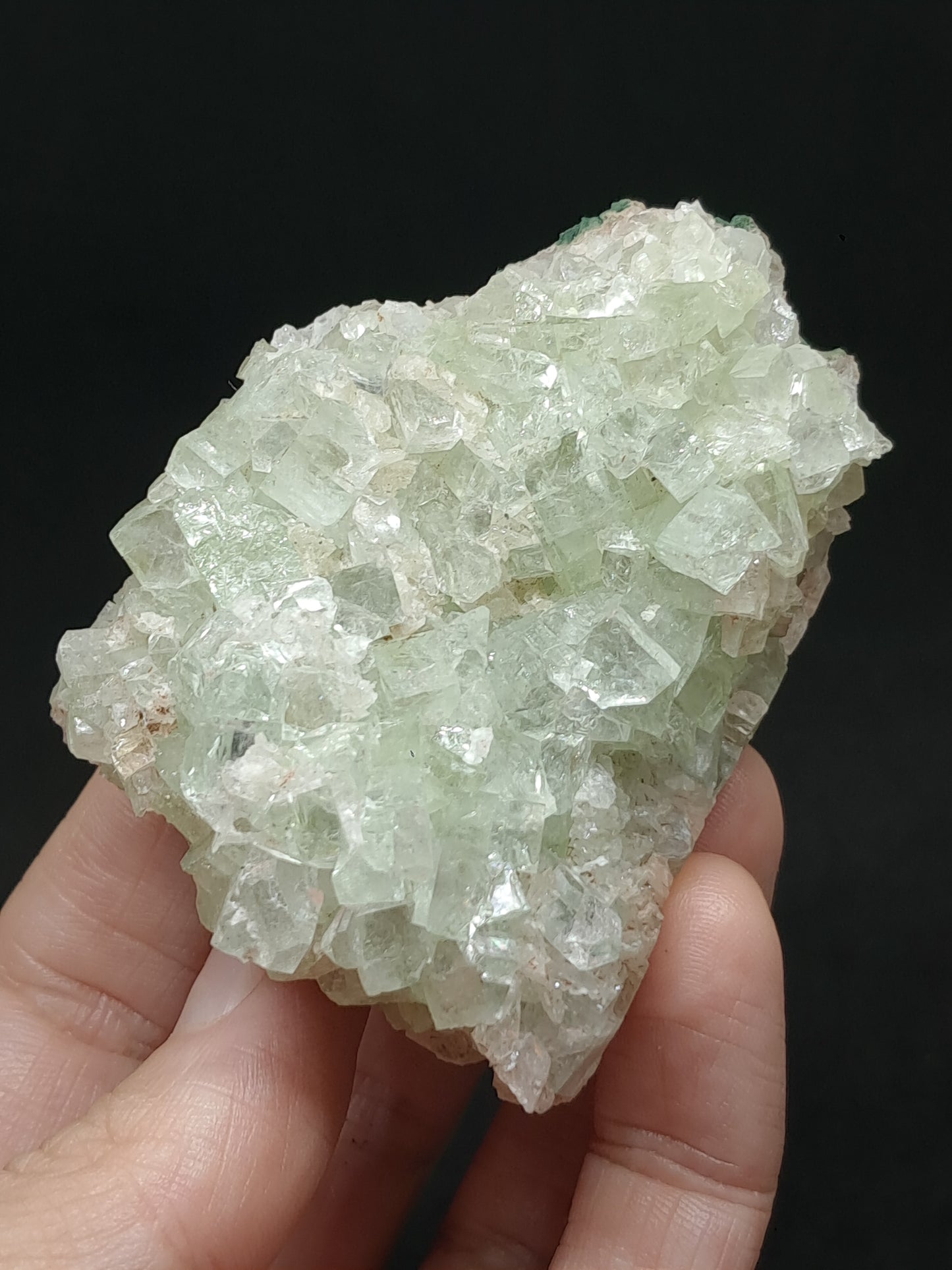 Green Apophyllite Cluster (Fluorapophyllite) (Ajanta) Rough Natural Crystal | Mineral Specimens #GA56