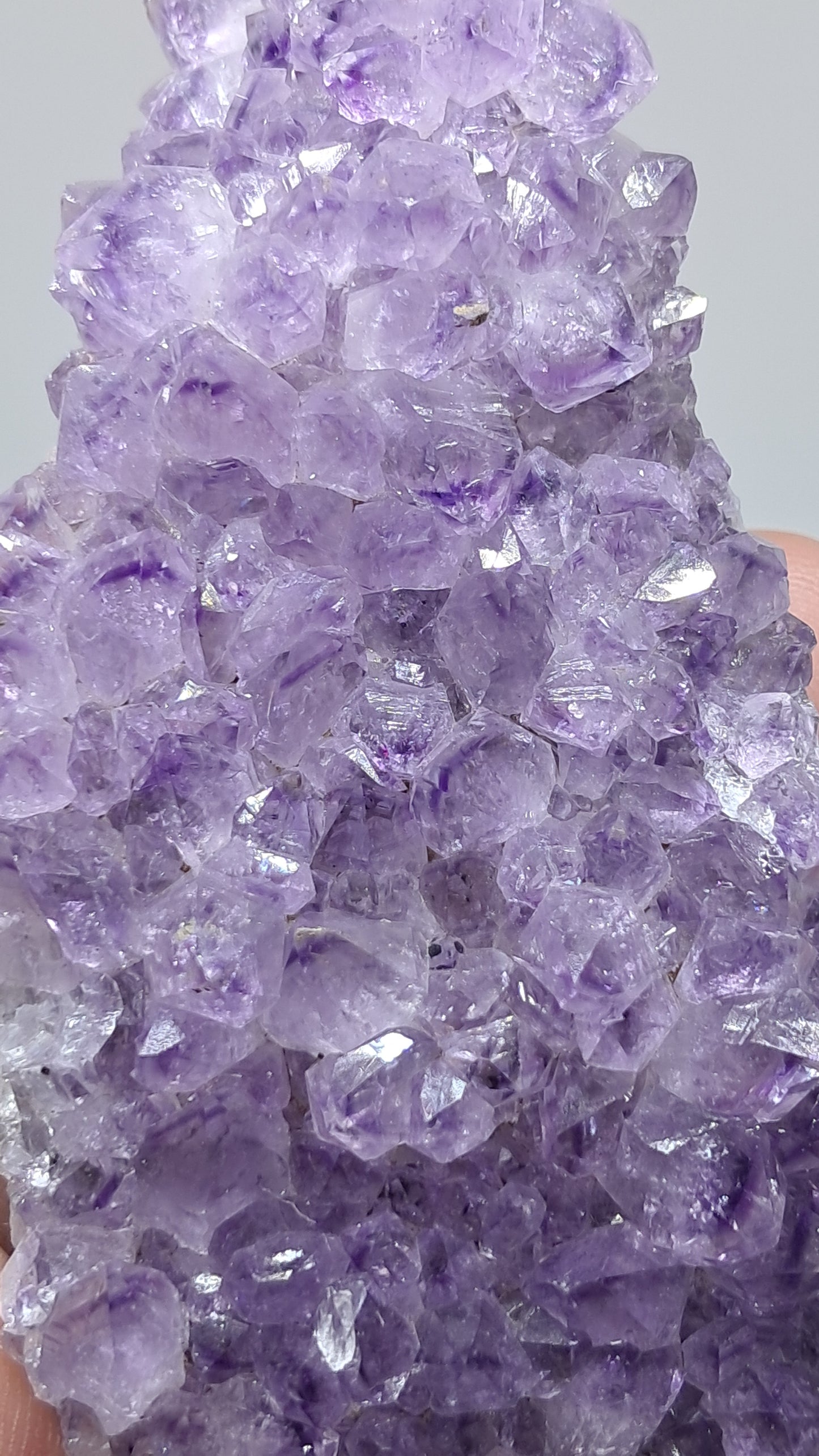 Deep Purple Amethyst (Brazil) | Natural Cluster | Mineral Specimen #AMB12